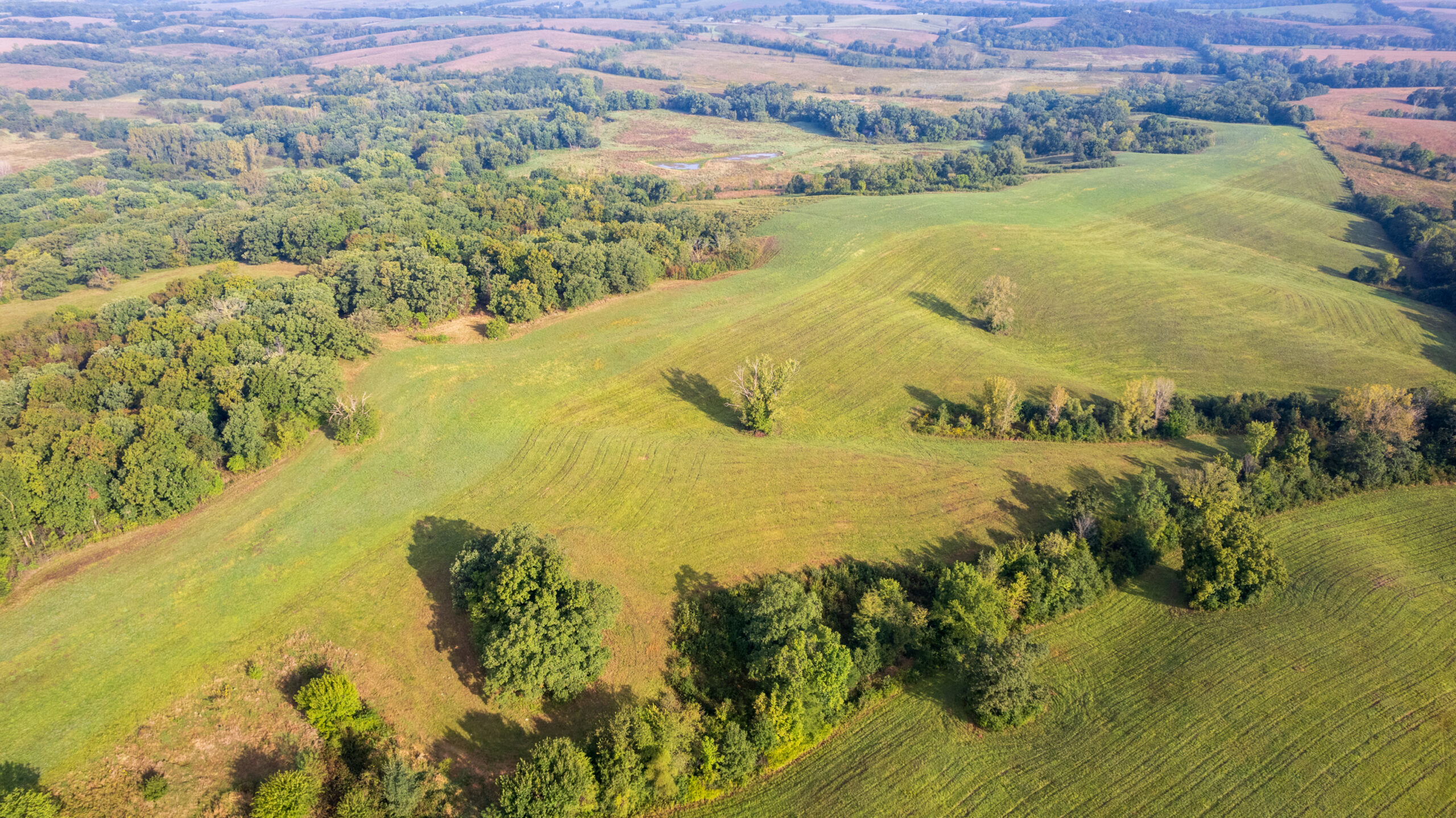 195+/- Monroe County, Iowa Hunting & Investment Farm with CRP, Hay, and Recreational Opportunity