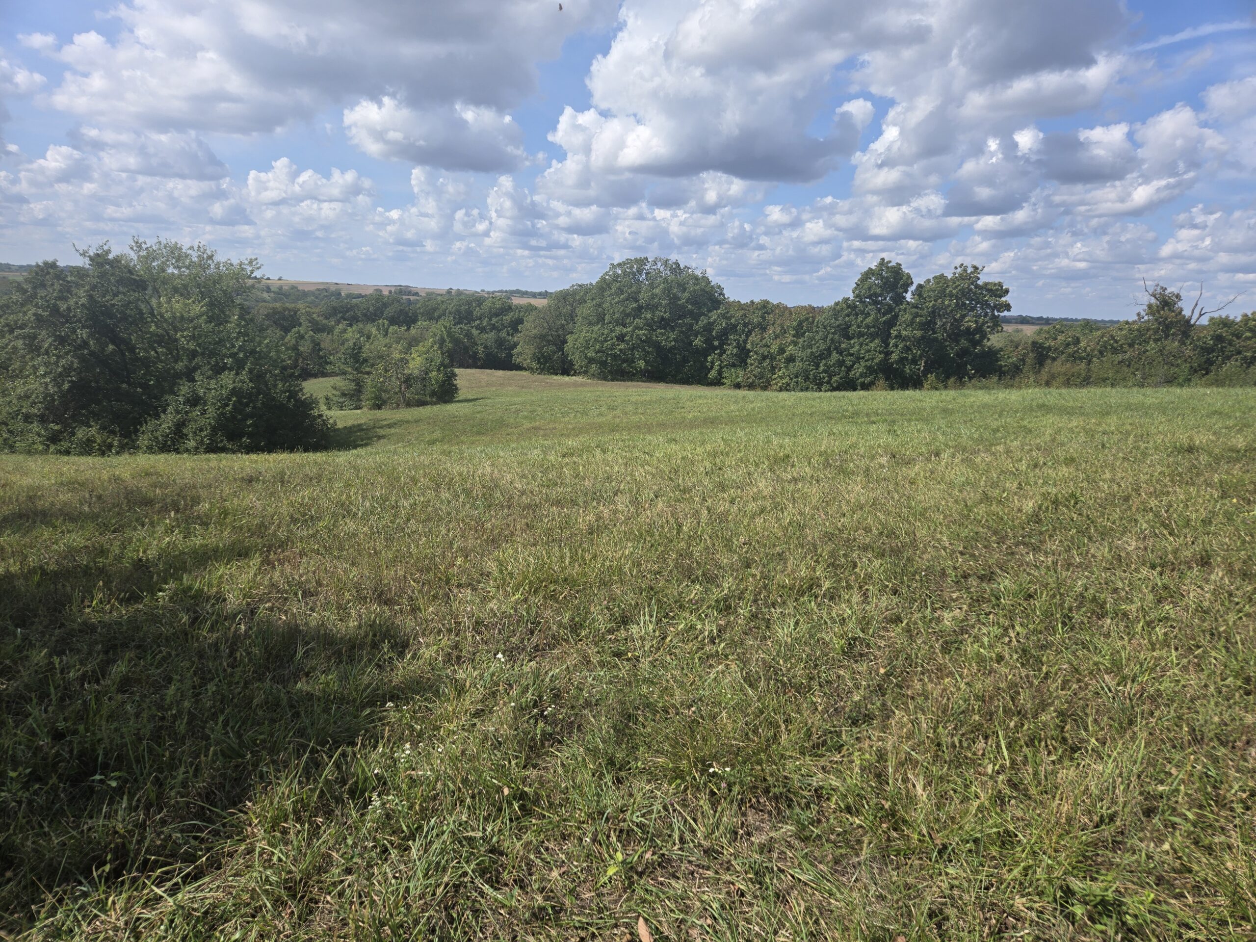 195+/- Monroe County, Iowa Hunting & Investment Farm with CRP, Hay, and Recreational Opportunity