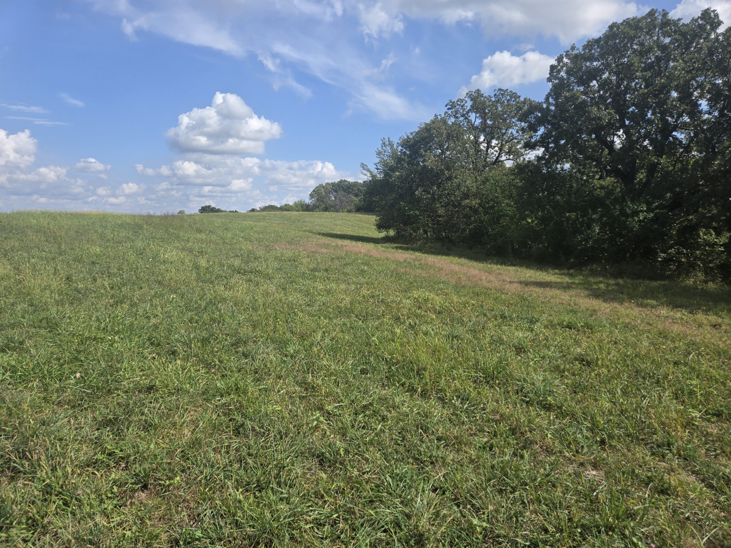 195+/- Monroe County, Iowa Hunting & Investment Farm with CRP, Hay, and Recreational Opportunity