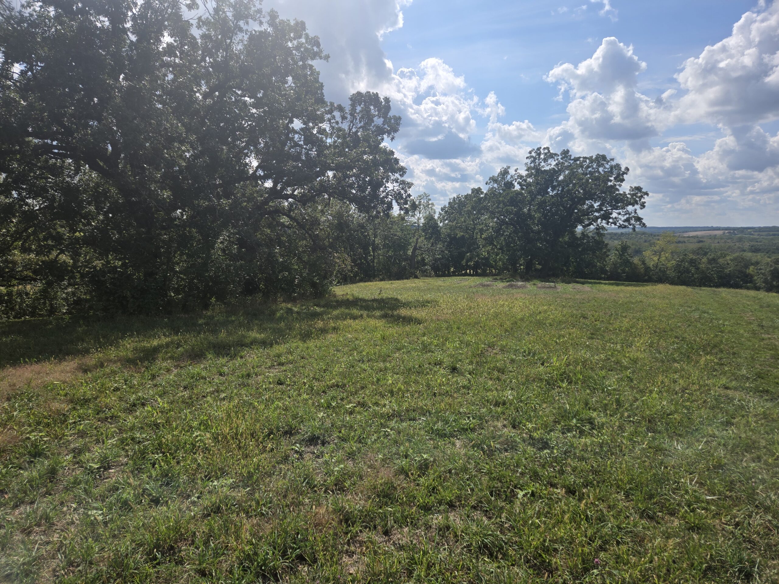 195+/- Monroe County, Iowa Hunting & Investment Farm with CRP, Hay, and Recreational Opportunity