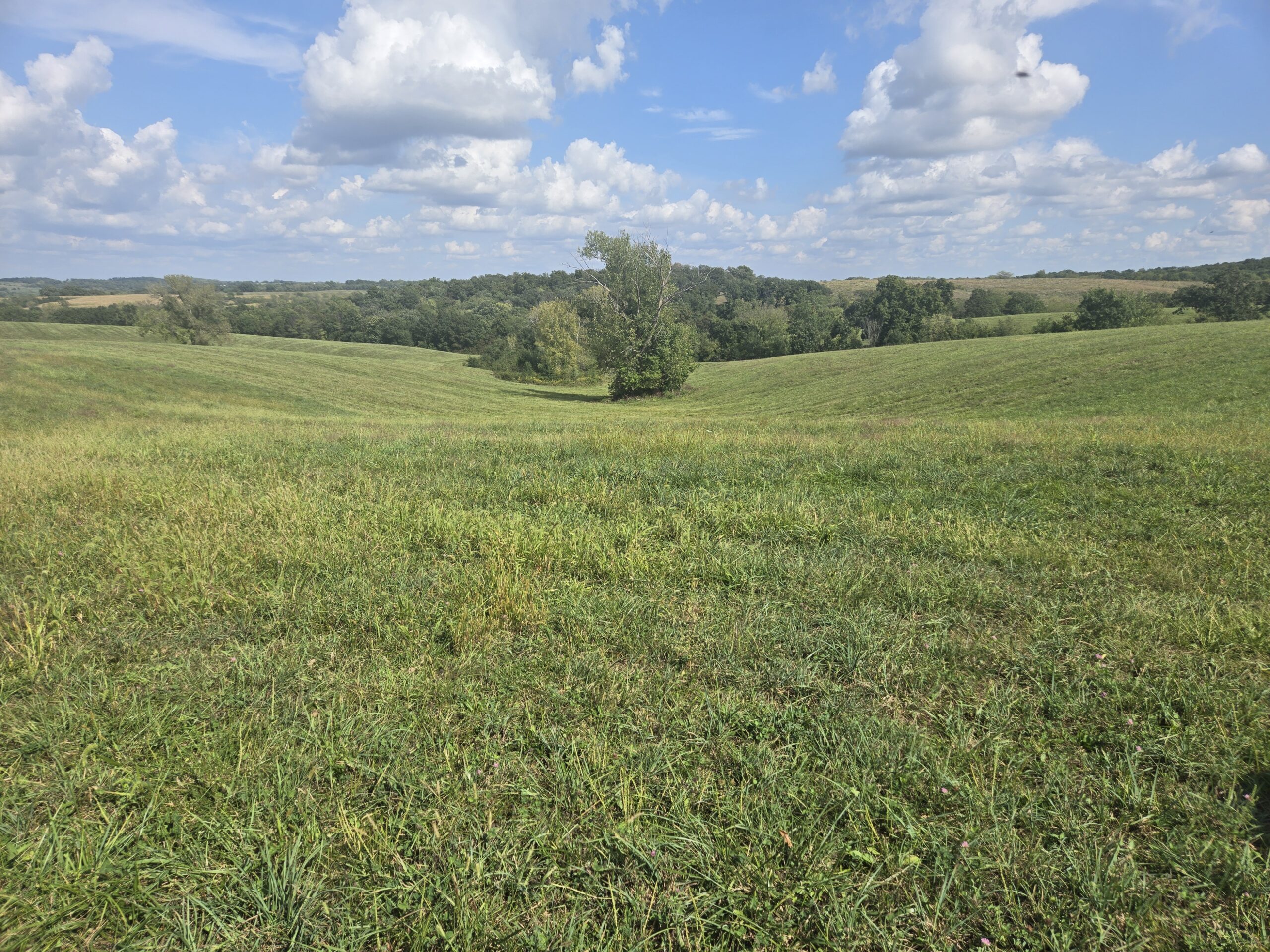195+/- Monroe County, Iowa Hunting & Investment Farm with CRP, Hay, and Recreational Opportunity