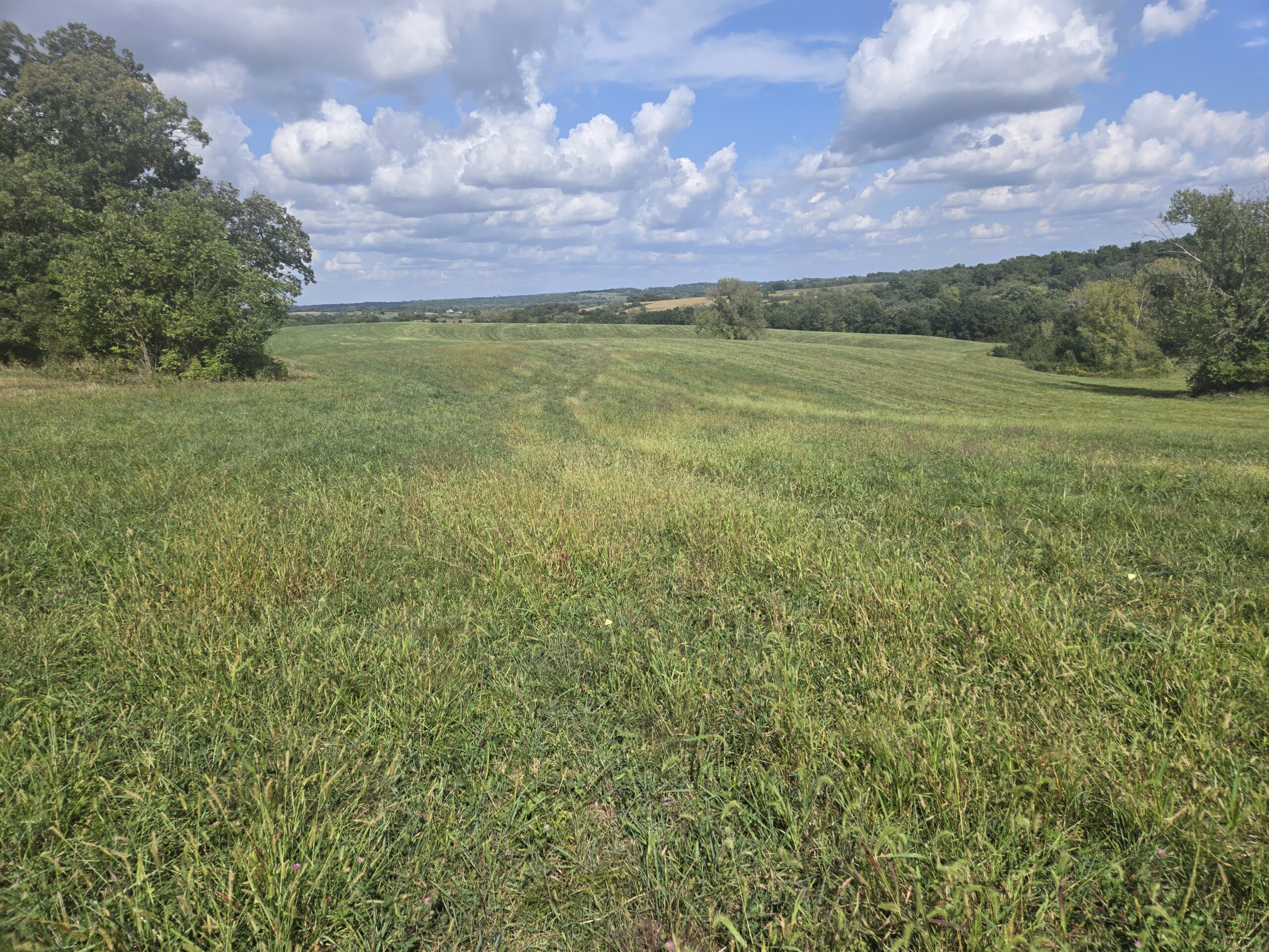 195+/- Monroe County, Iowa Hunting & Investment Farm with CRP, Hay, and Recreational Opportunity