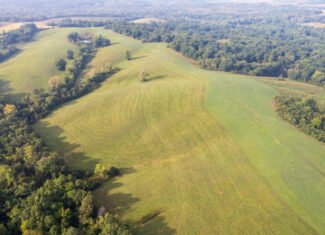 195+/- Monroe County, Iowa Hunting & Investment Farm with CRP, Hay, and Recreational Opportunity