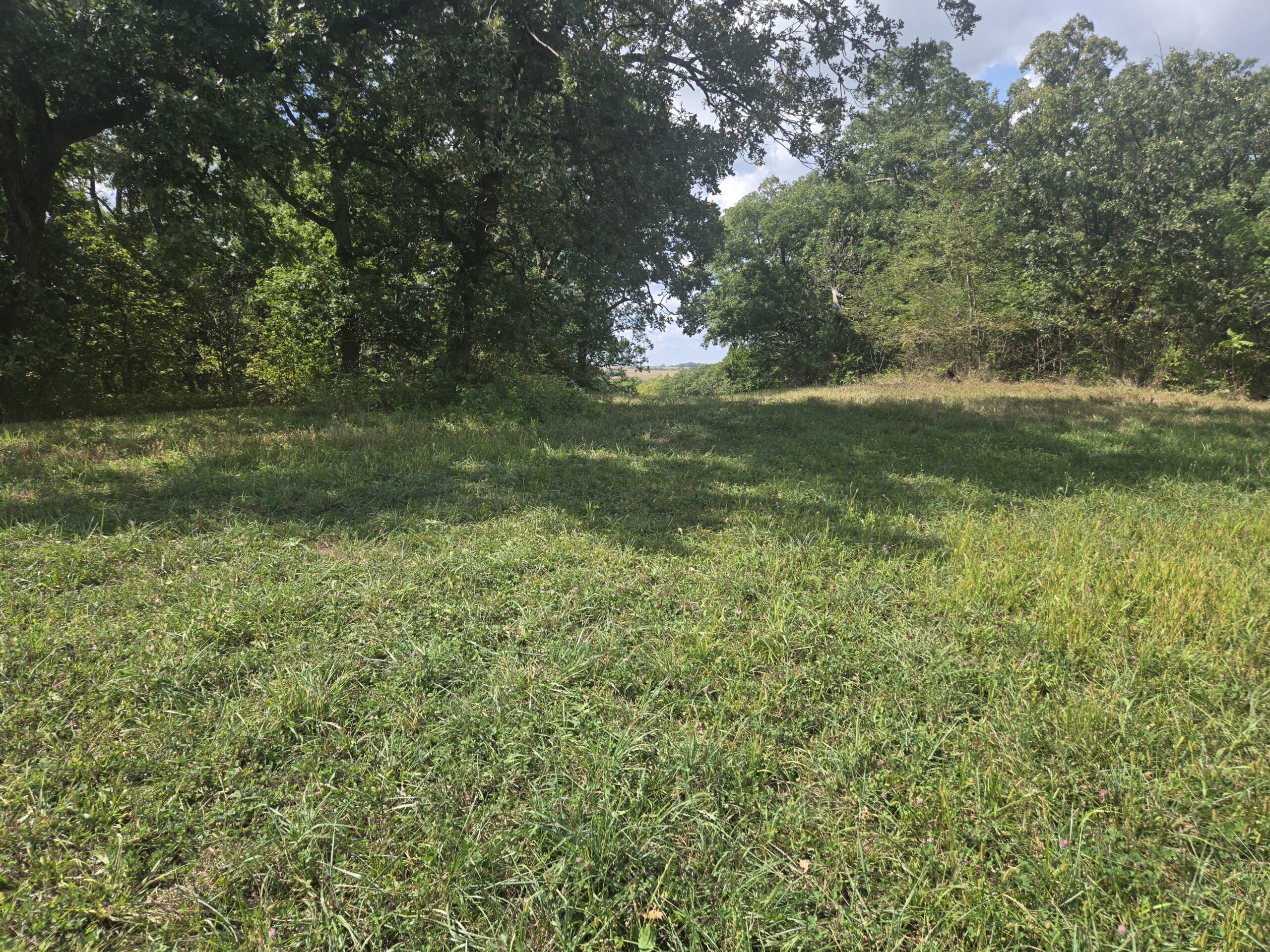 195+/- Monroe County, Iowa Hunting & Investment Farm with CRP, Hay, and Recreational Opportunity