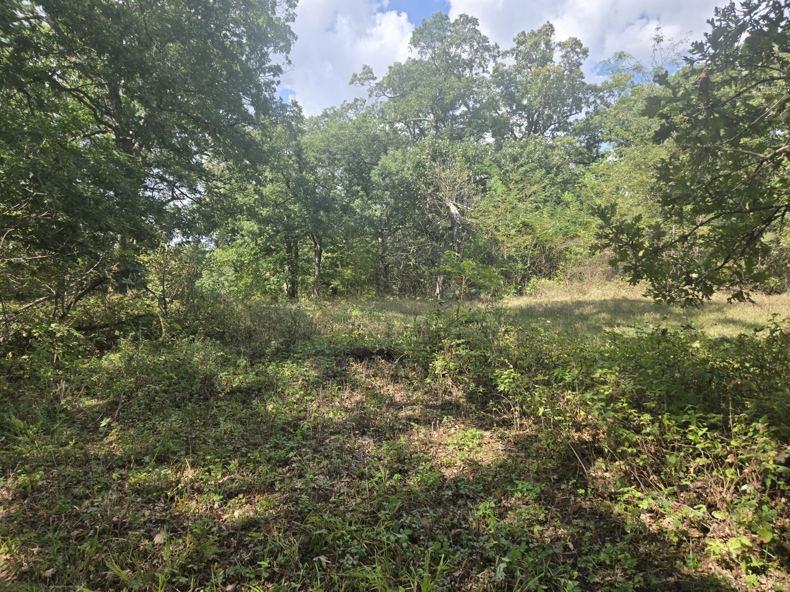 195+/- Monroe County, Iowa Hunting & Investment Farm with CRP, Hay, and Recreational Opportunity
