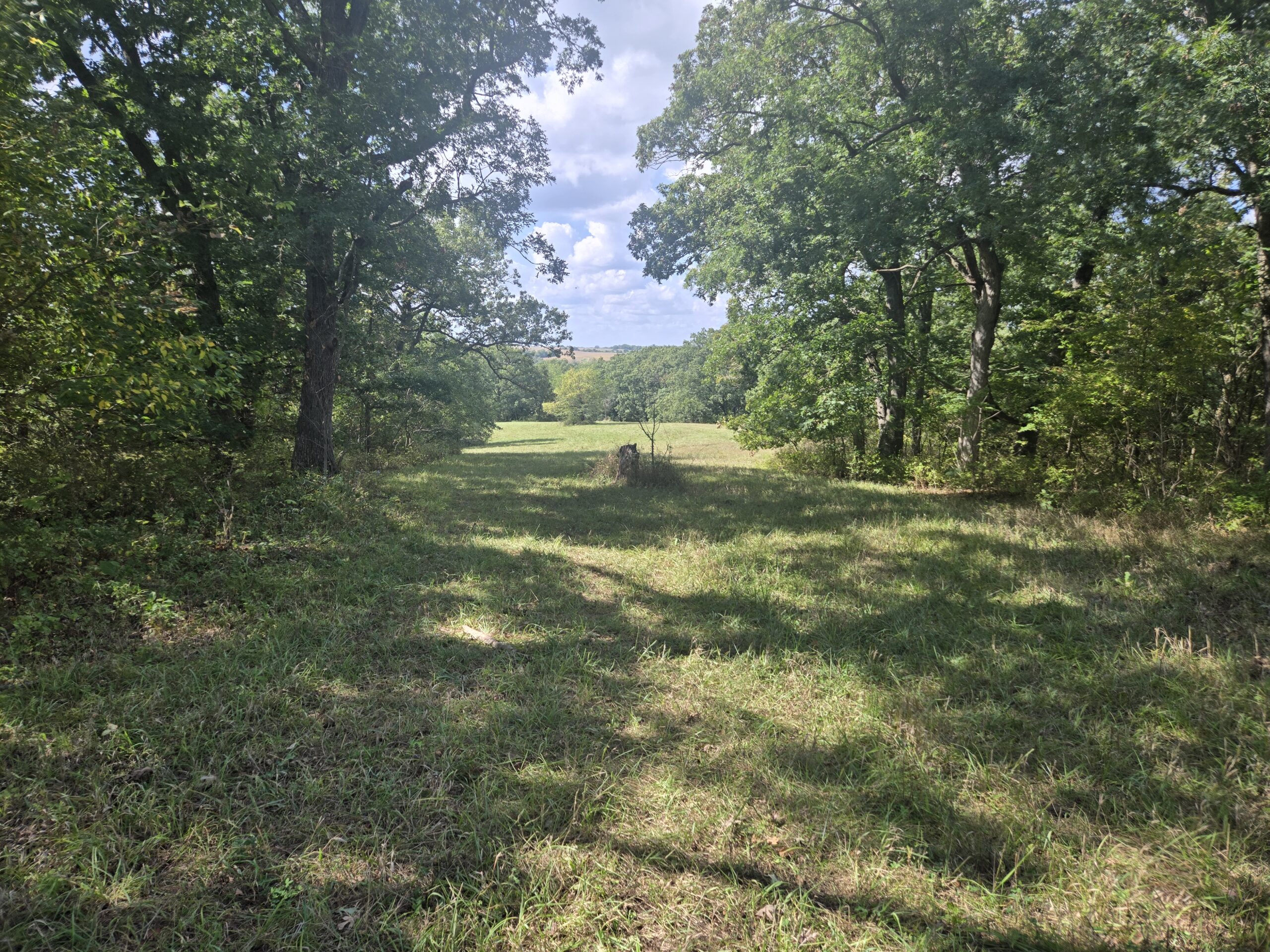195+/- Monroe County, Iowa Hunting & Investment Farm with CRP, Hay, and Recreational Opportunity