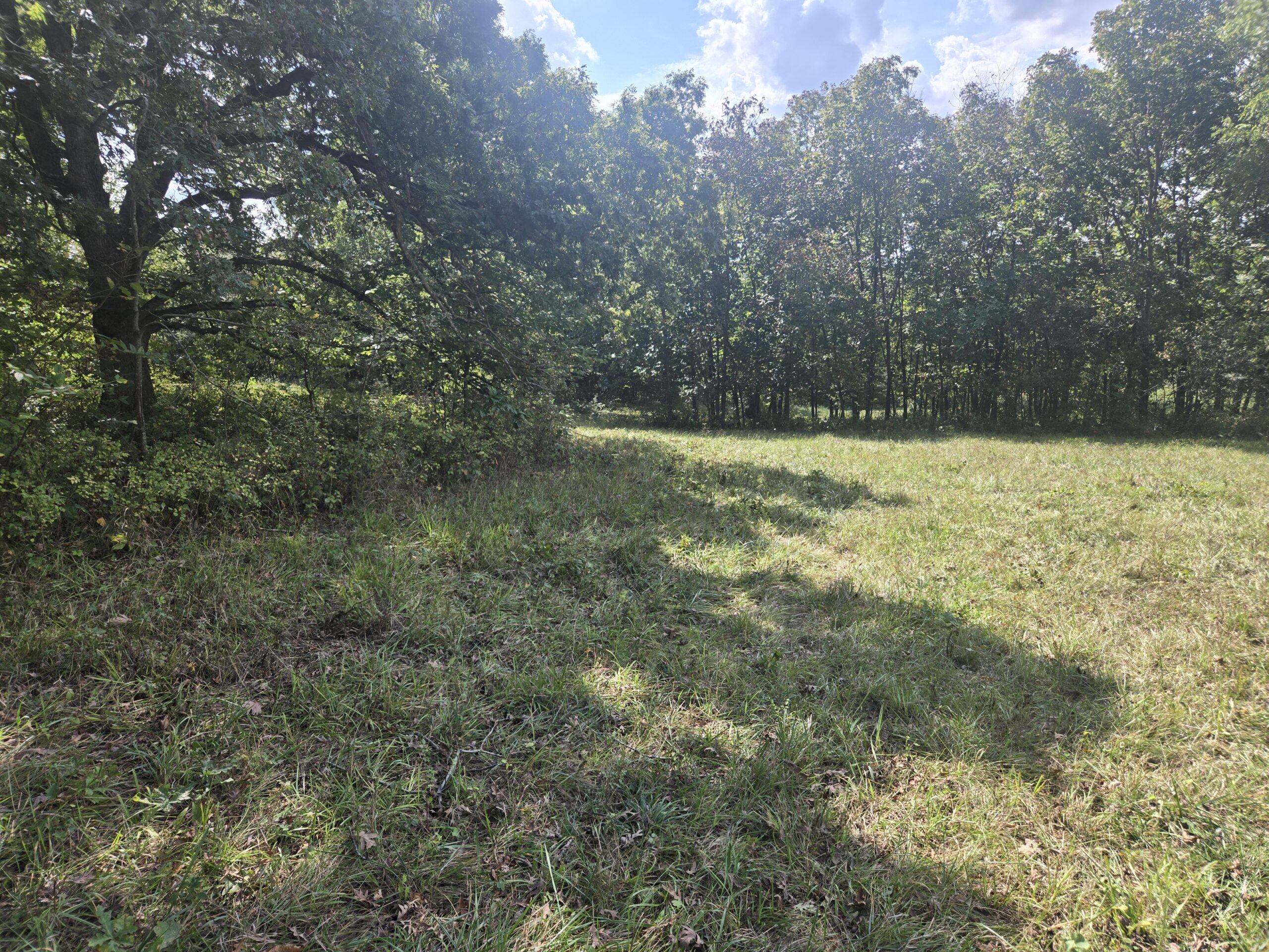 195+/- Monroe County, Iowa Hunting & Investment Farm with CRP, Hay, and Recreational Opportunity