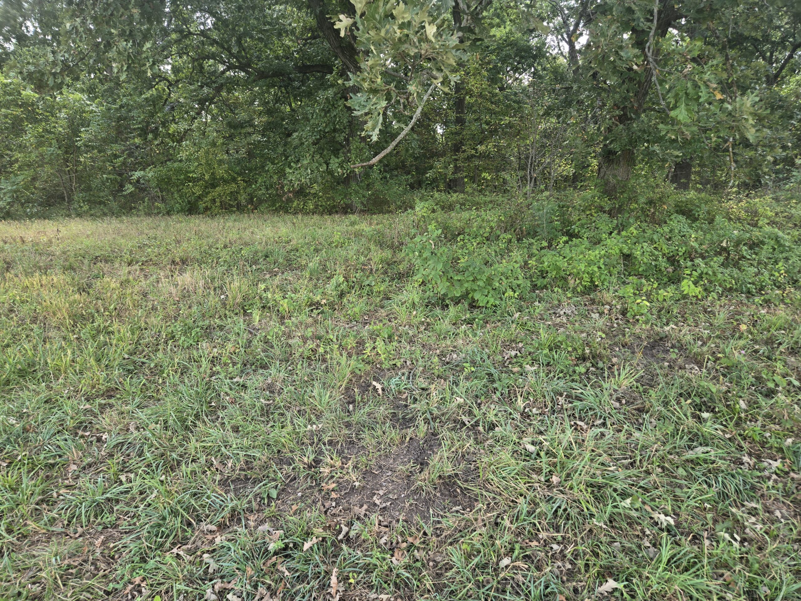 195+/- Monroe County, Iowa Hunting & Investment Farm with CRP, Hay, and Recreational Opportunity