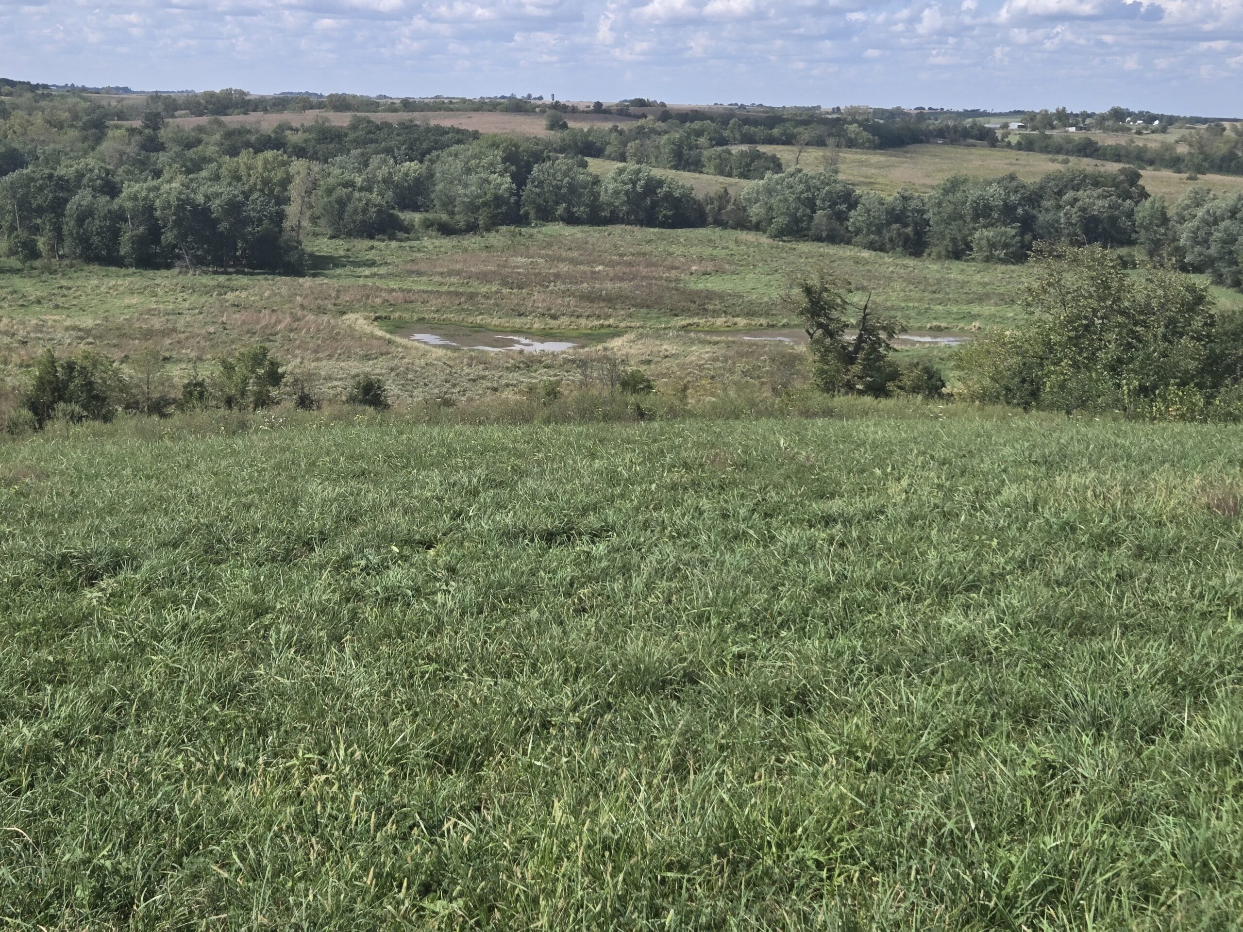195+/- Monroe County, Iowa Hunting & Investment Farm with CRP, Hay, and Recreational Opportunity