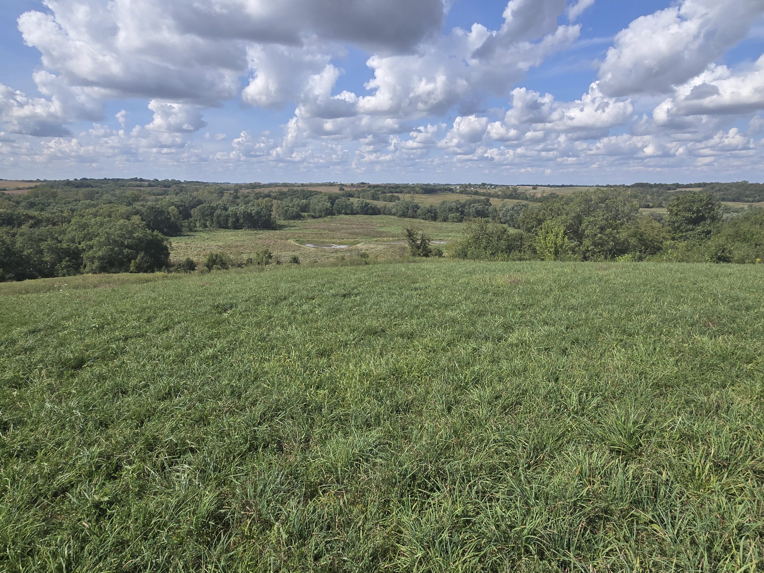 195+/- Monroe County, Iowa Hunting & Investment Farm with CRP, Hay, and Recreational Opportunity