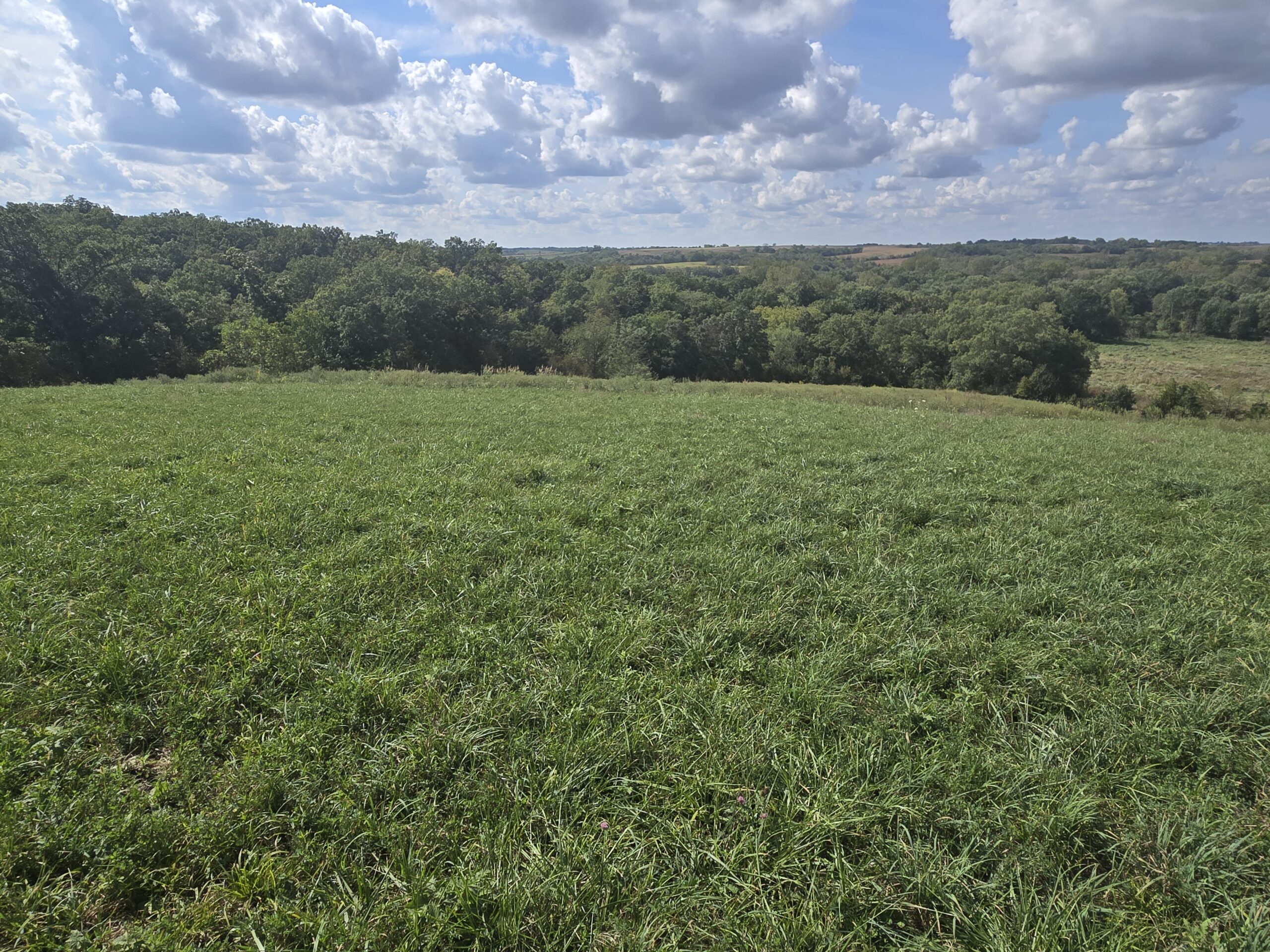 195+/- Monroe County, Iowa Hunting & Investment Farm with CRP, Hay, and Recreational Opportunity