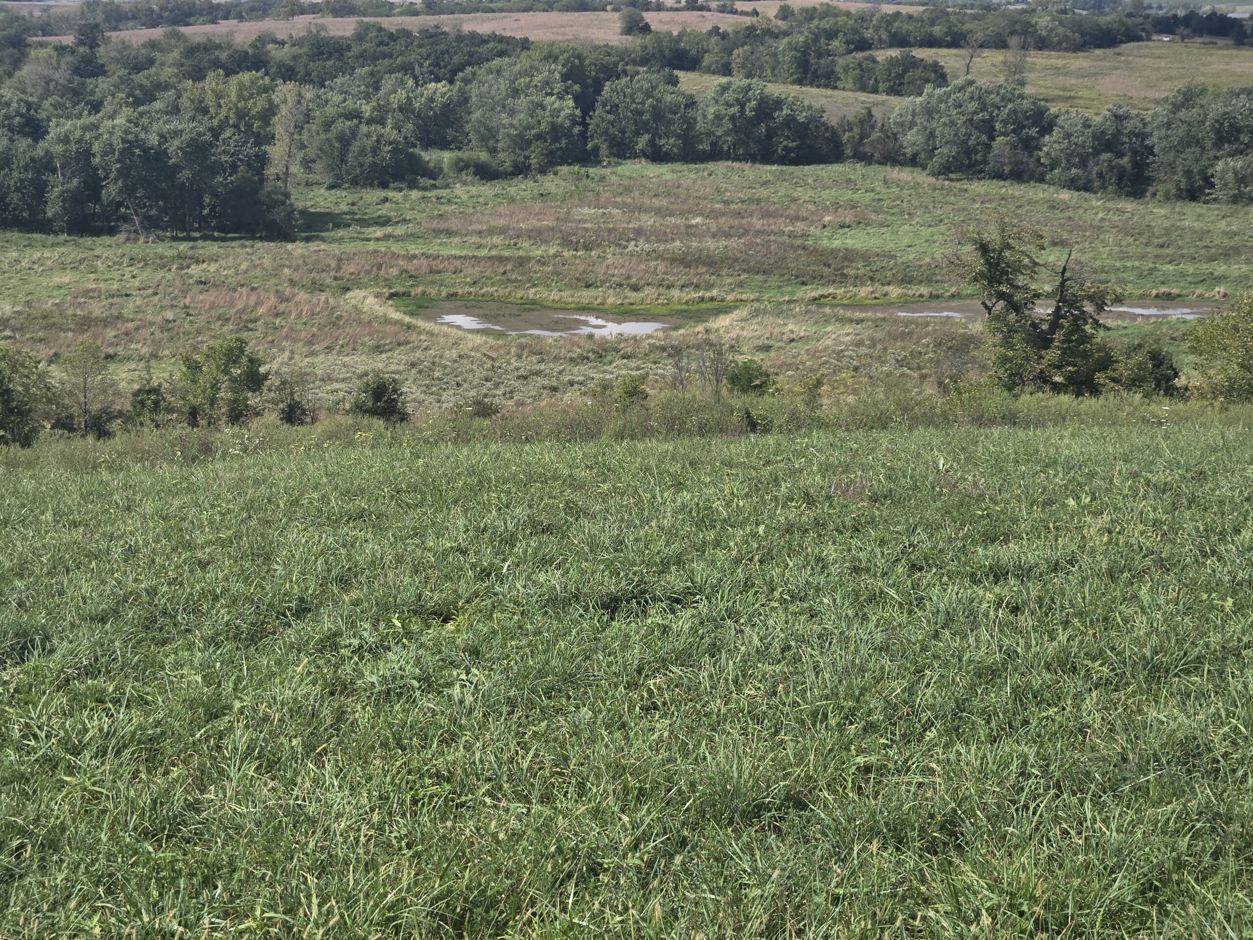 195+/- Monroe County, Iowa Hunting & Investment Farm with CRP, Hay, and Recreational Opportunity