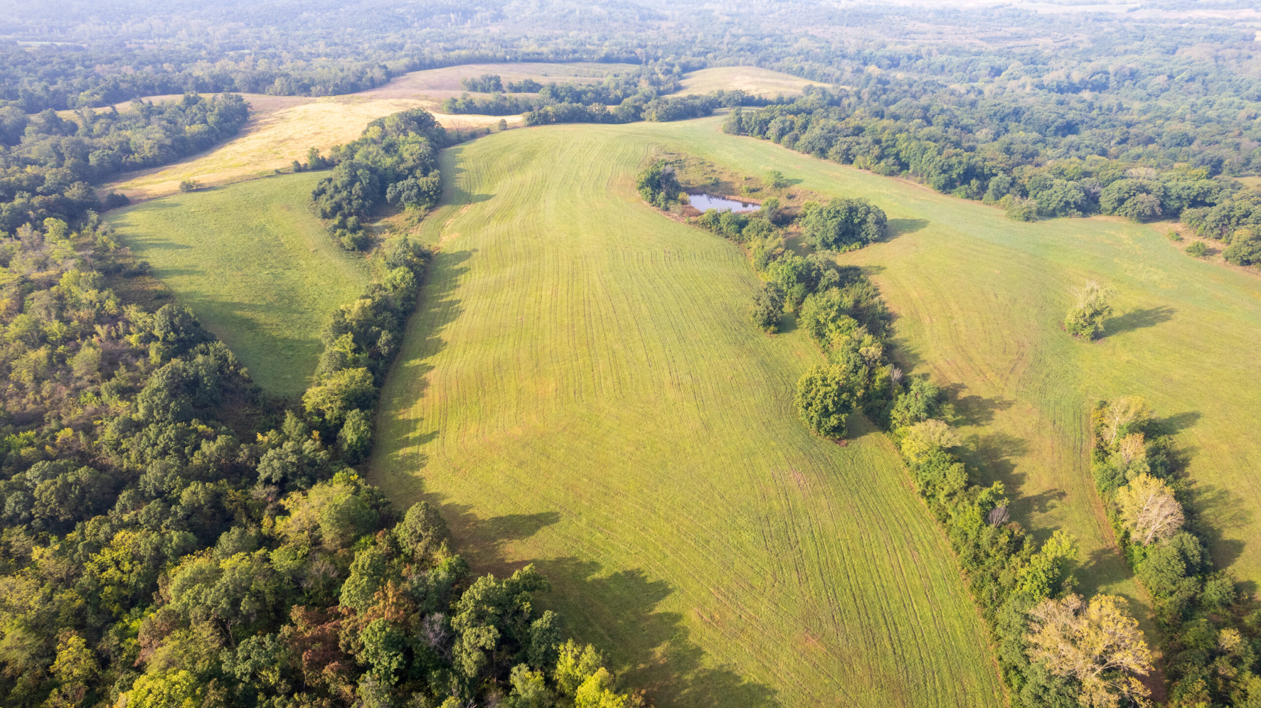 195+/- Monroe County, Iowa Hunting & Investment Farm with CRP, Hay, and Recreational Opportunity