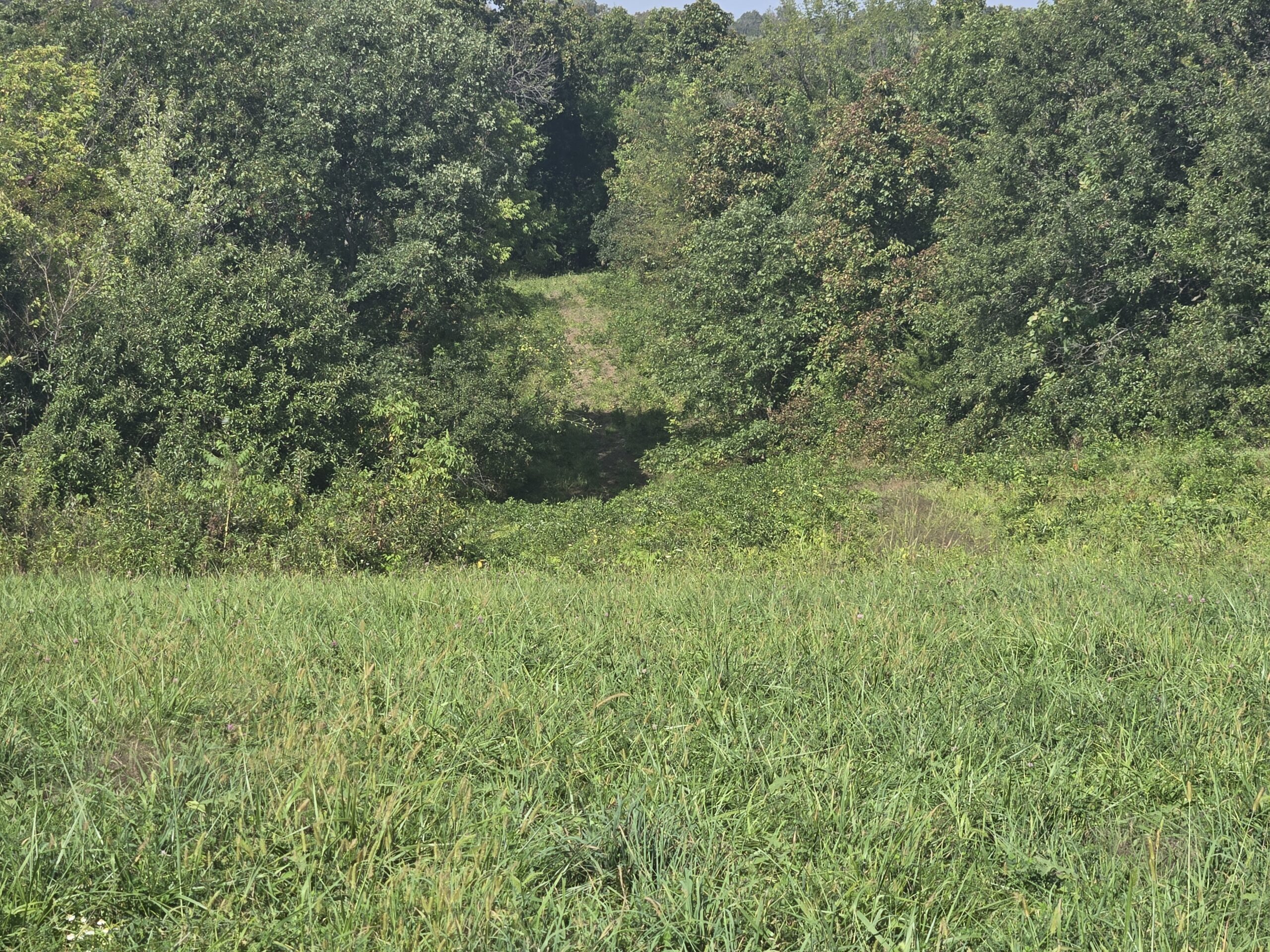195+/- Monroe County, Iowa Hunting & Investment Farm with CRP, Hay, and Recreational Opportunity