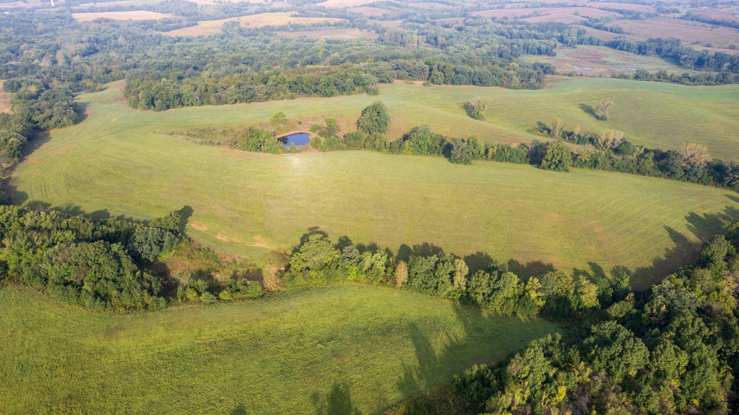 195+/- Monroe County, Iowa Hunting & Investment Farm with CRP, Hay, and Recreational Opportunity