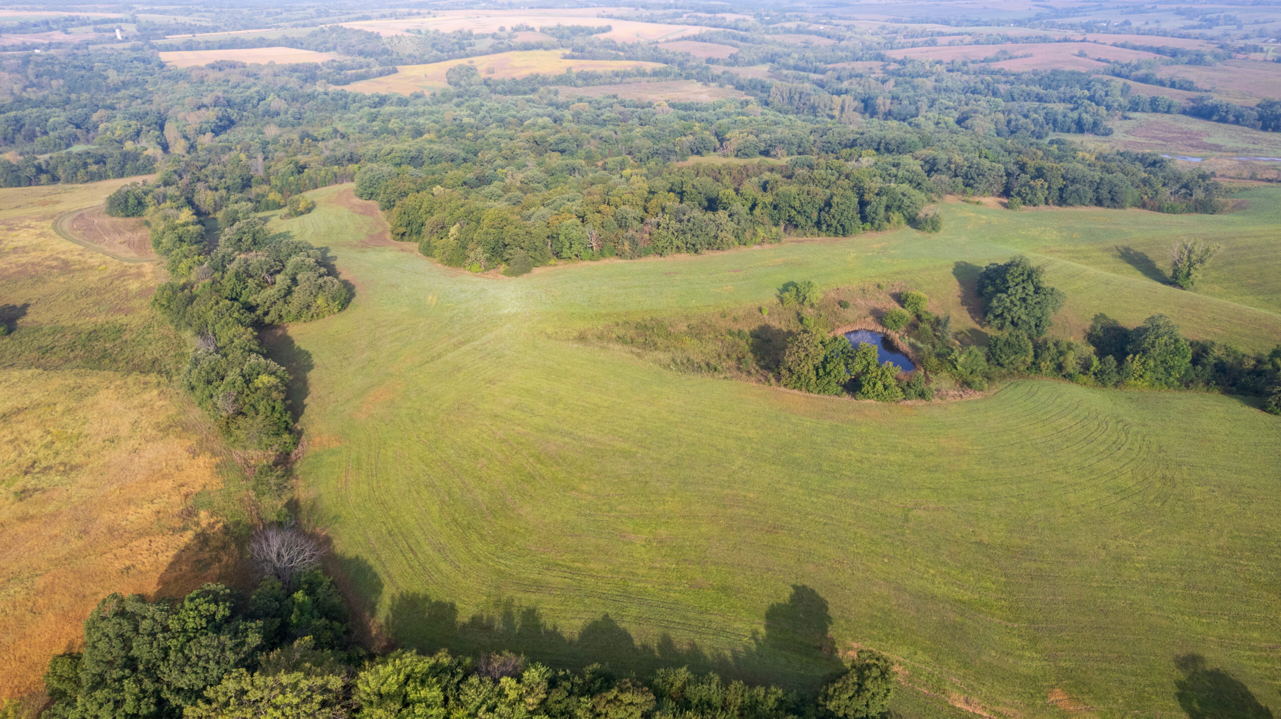 195+/- Monroe County, Iowa Hunting & Investment Farm with CRP, Hay, and Recreational Opportunity