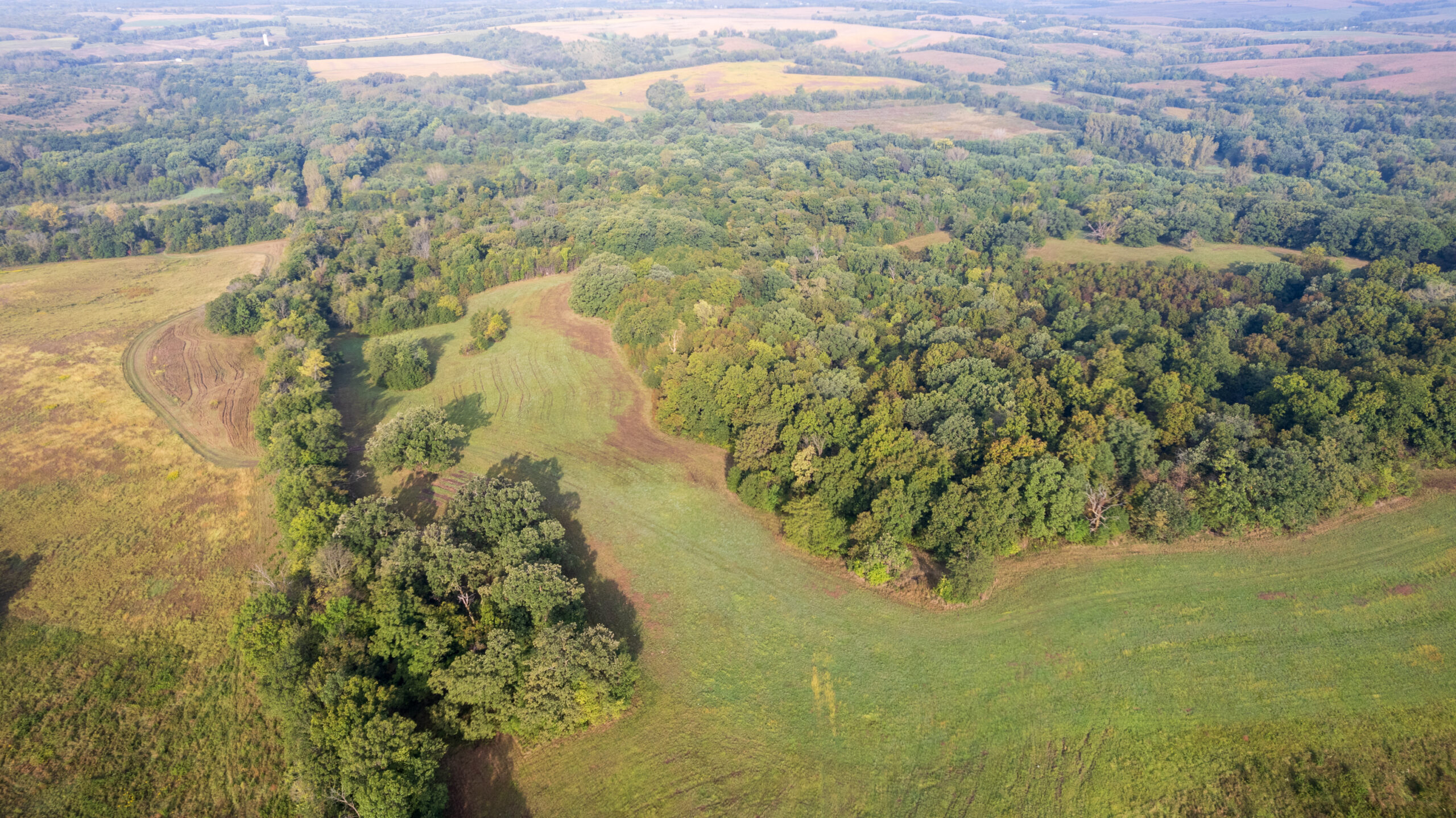 195+/- Monroe County, Iowa Hunting & Investment Farm with CRP, Hay, and Recreational Opportunity