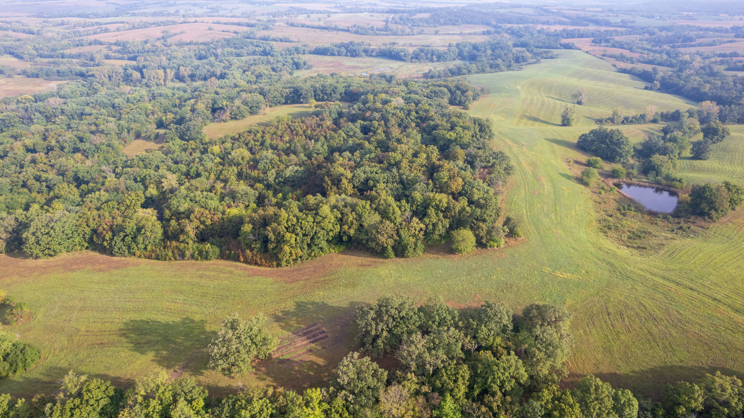 195+/- Monroe County, Iowa Hunting & Investment Farm with CRP, Hay, and Recreational Opportunity