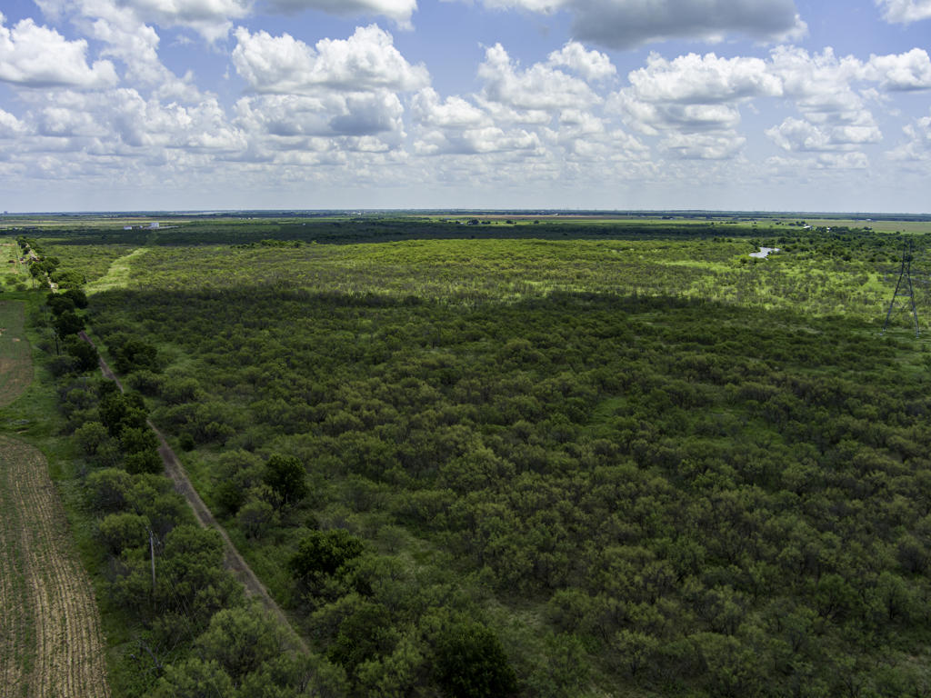 Ranch, Recreational, Residential and/or Development Potential Land in Archer County, Texas
