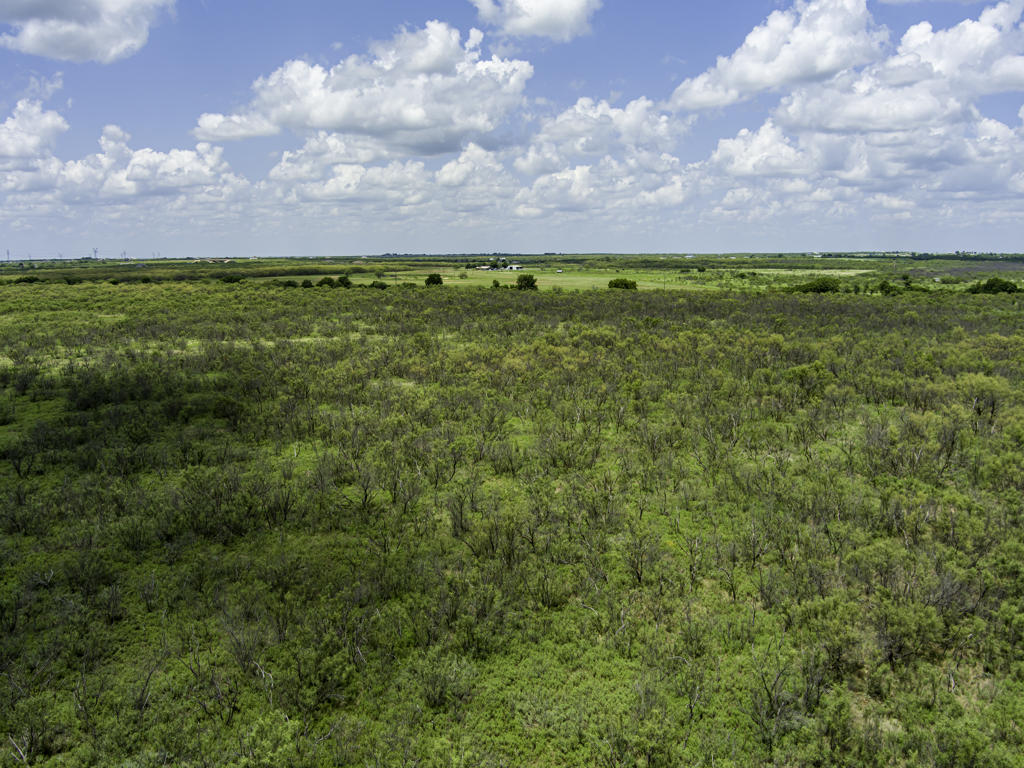 Ranch, Recreational, Residential and/or Development Potential Land in Archer County, Texas