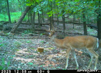 Legacy Northwest Arkansas Acreage For Sale