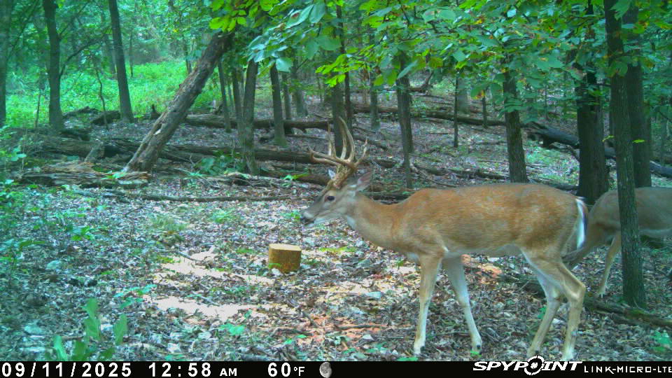 Legacy Northwest Arkansas Acreage For Sale