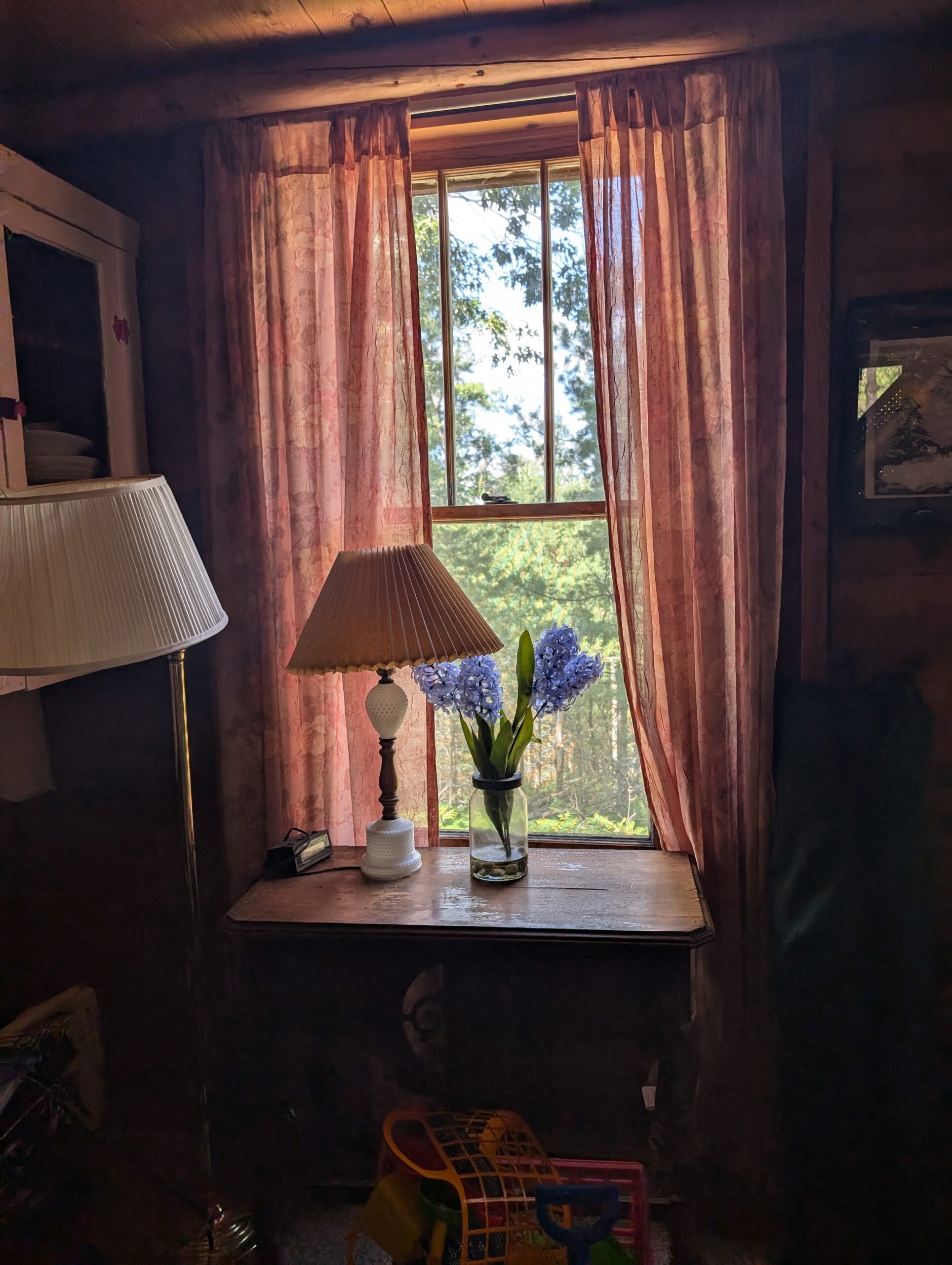 Cabin on 4 Lots in Canada Creek Ranch Atlanta MI