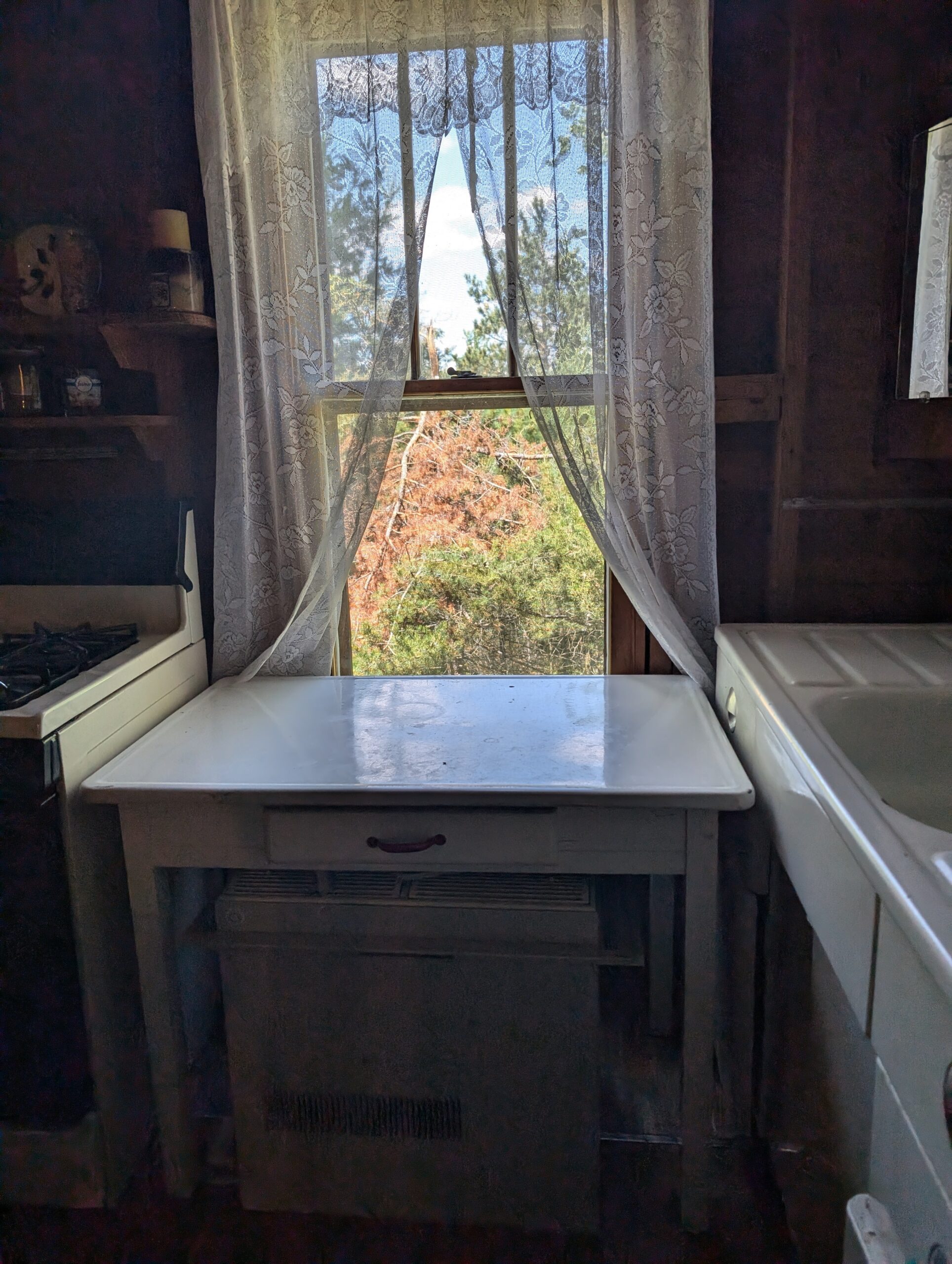 Cabin on 4 Lots in Canada Creek Ranch Atlanta MI