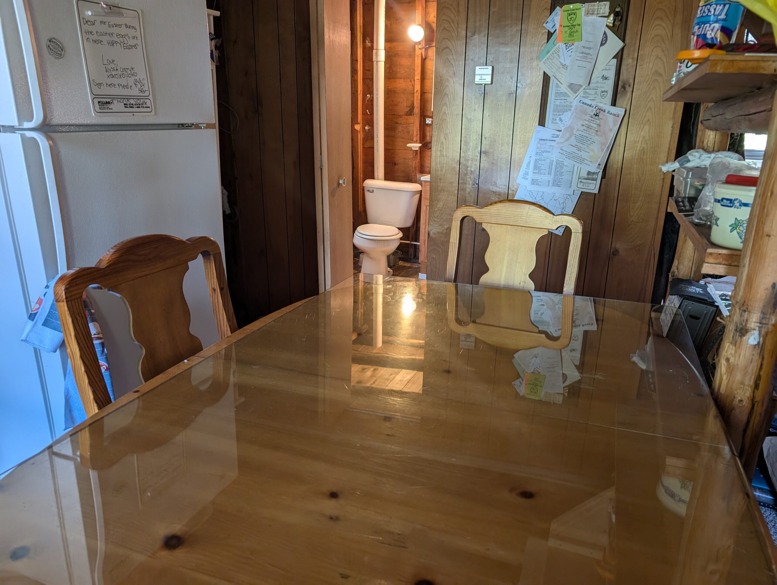 Cabin on 4 Lots in Canada Creek Ranch Atlanta MI