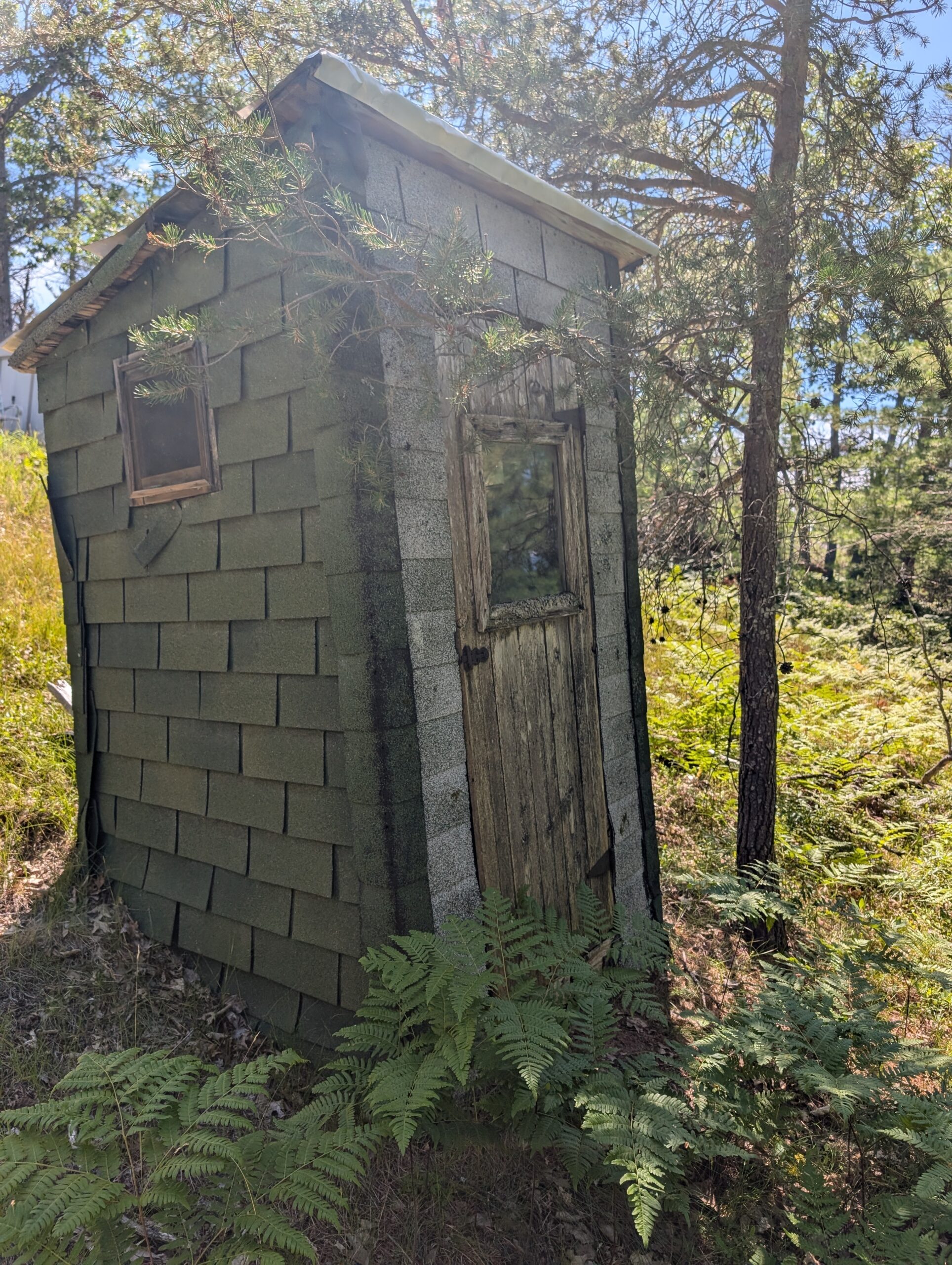 Cabin on 4 Lots in Canada Creek Ranch Atlanta MI