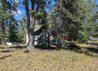 Cabin on 4 Lots in Canada Creek Ranch Atlanta MI