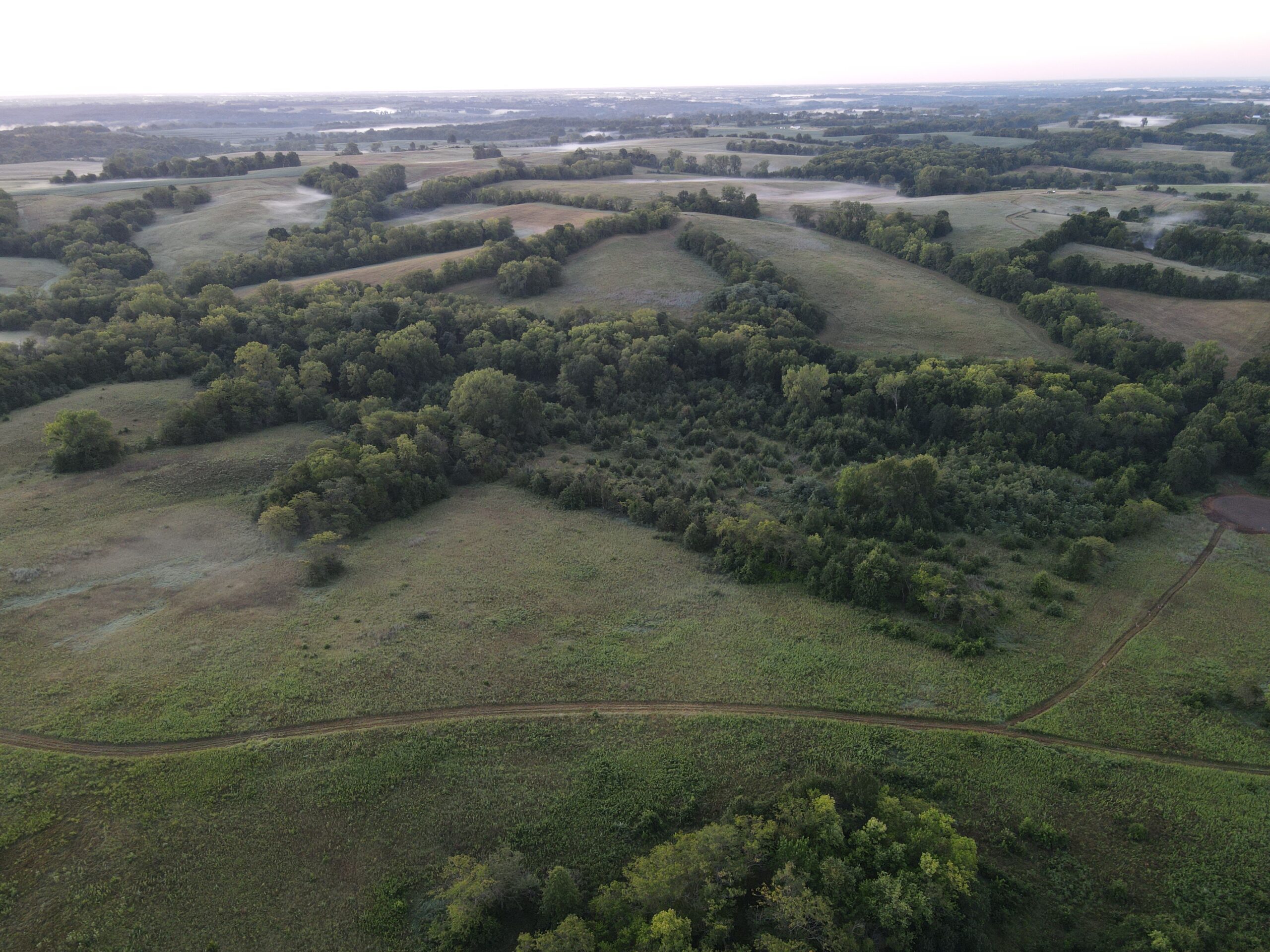 Beautiful Northern Missouri Combo Farm For Sale!
