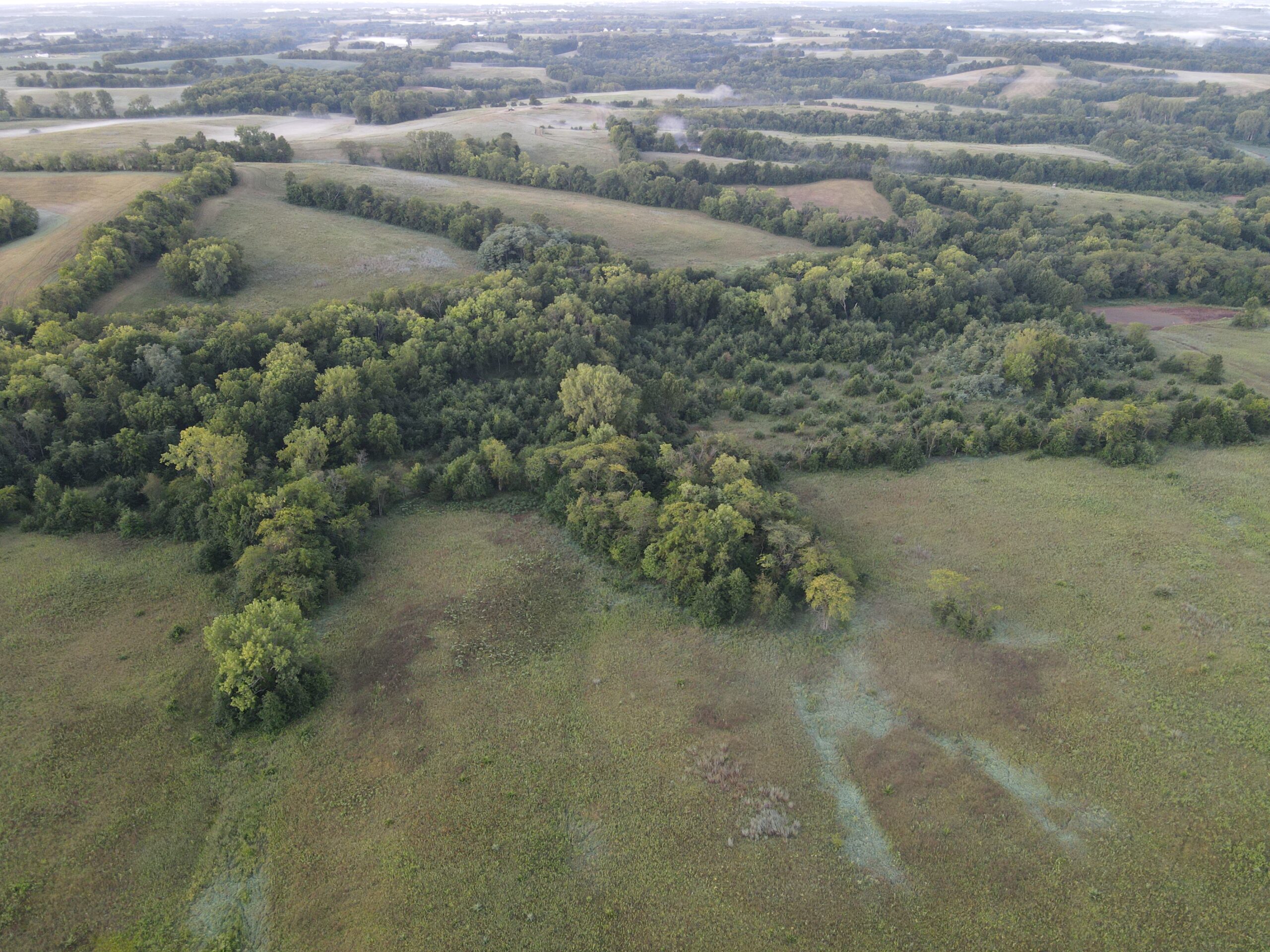 Beautiful Northern Missouri Combo Farm For Sale!