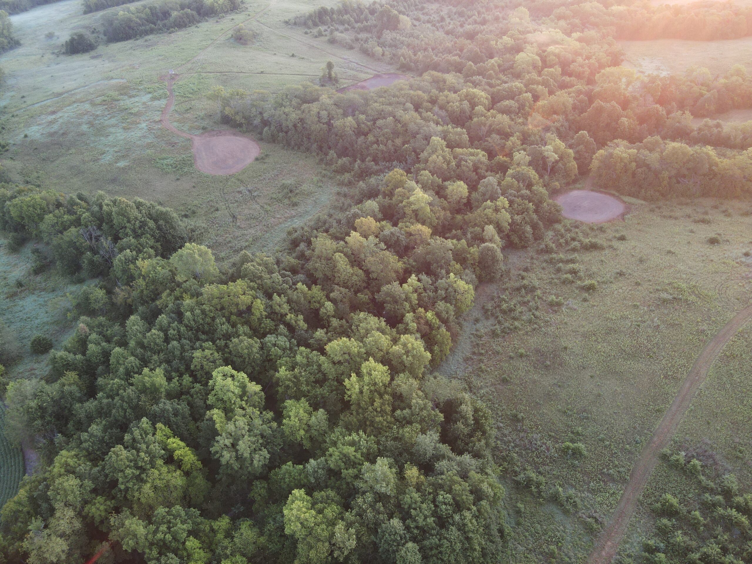 Beautiful Northern Missouri Combo Farm For Sale!
