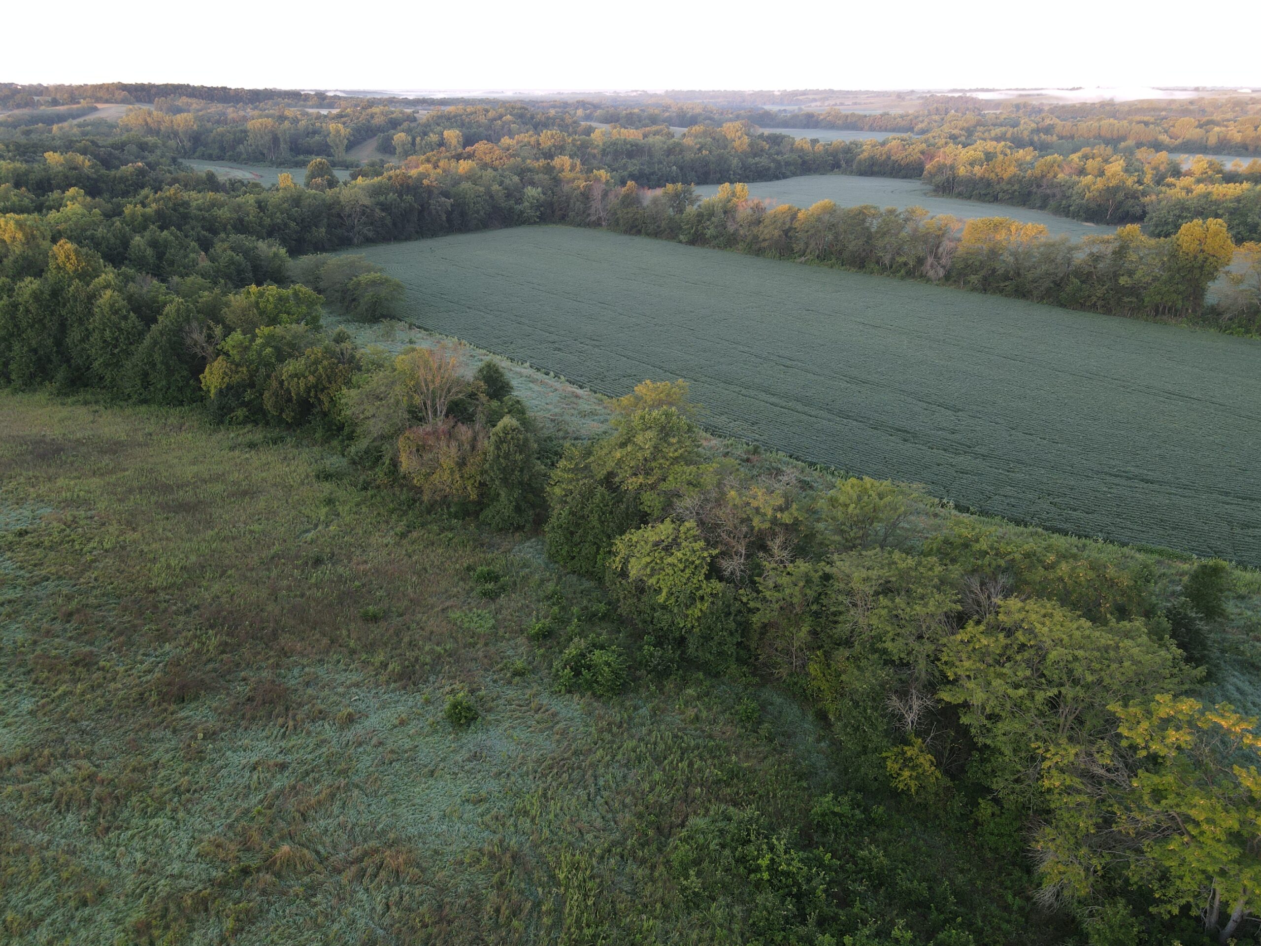 Beautiful Northern Missouri Combo Farm For Sale!