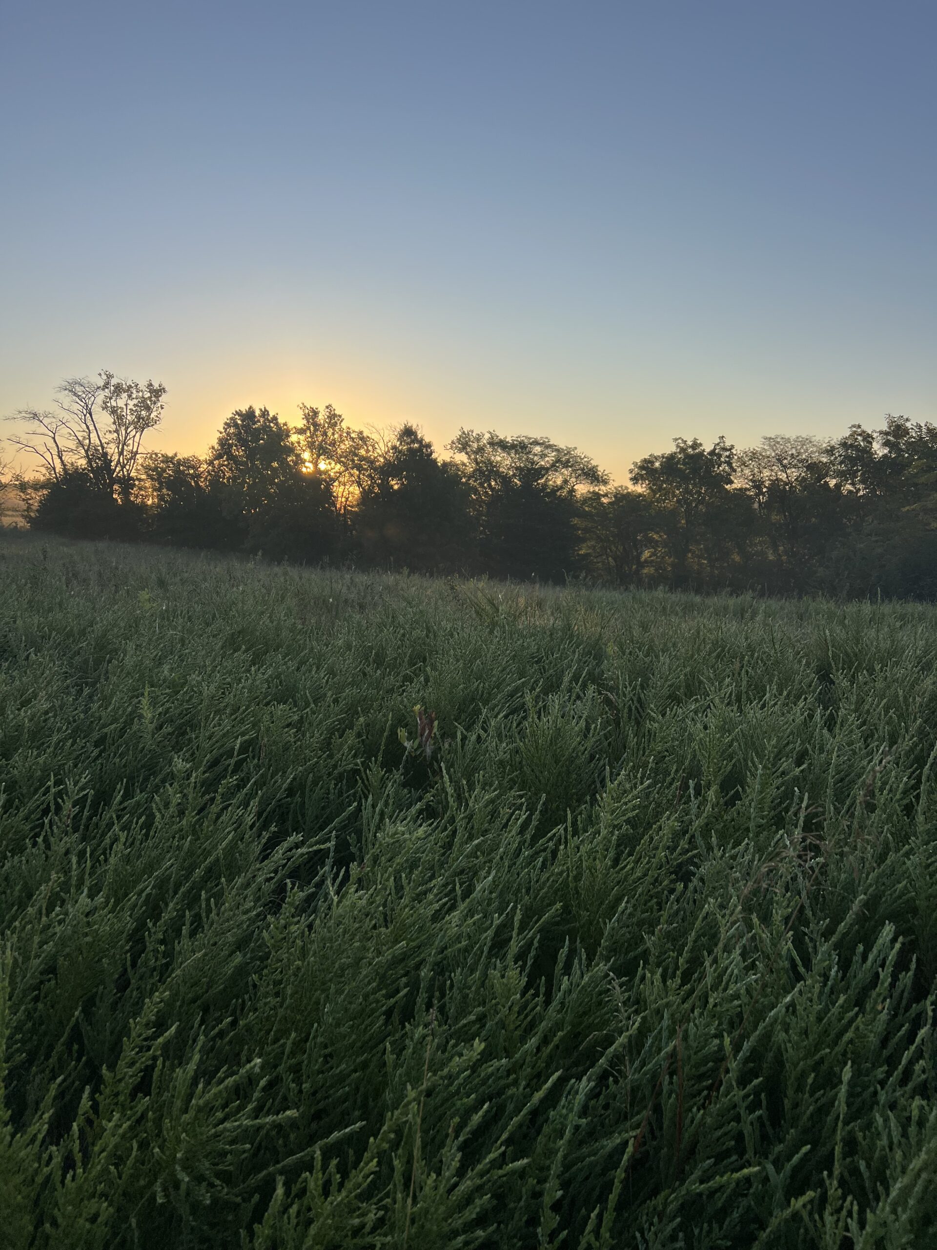 Beautiful Northern Missouri Combo Farm For Sale!