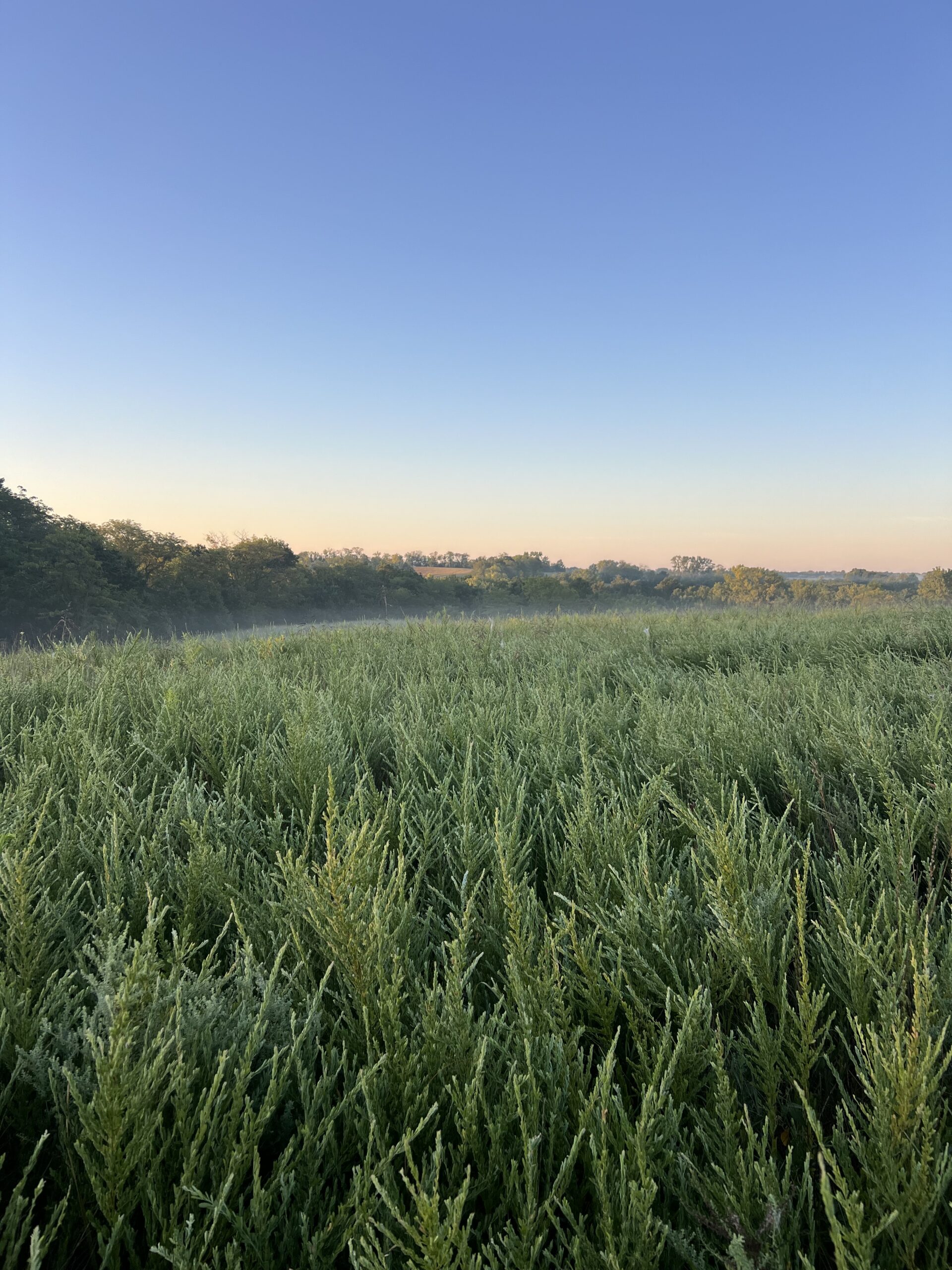 Beautiful Northern Missouri Combo Farm For Sale!