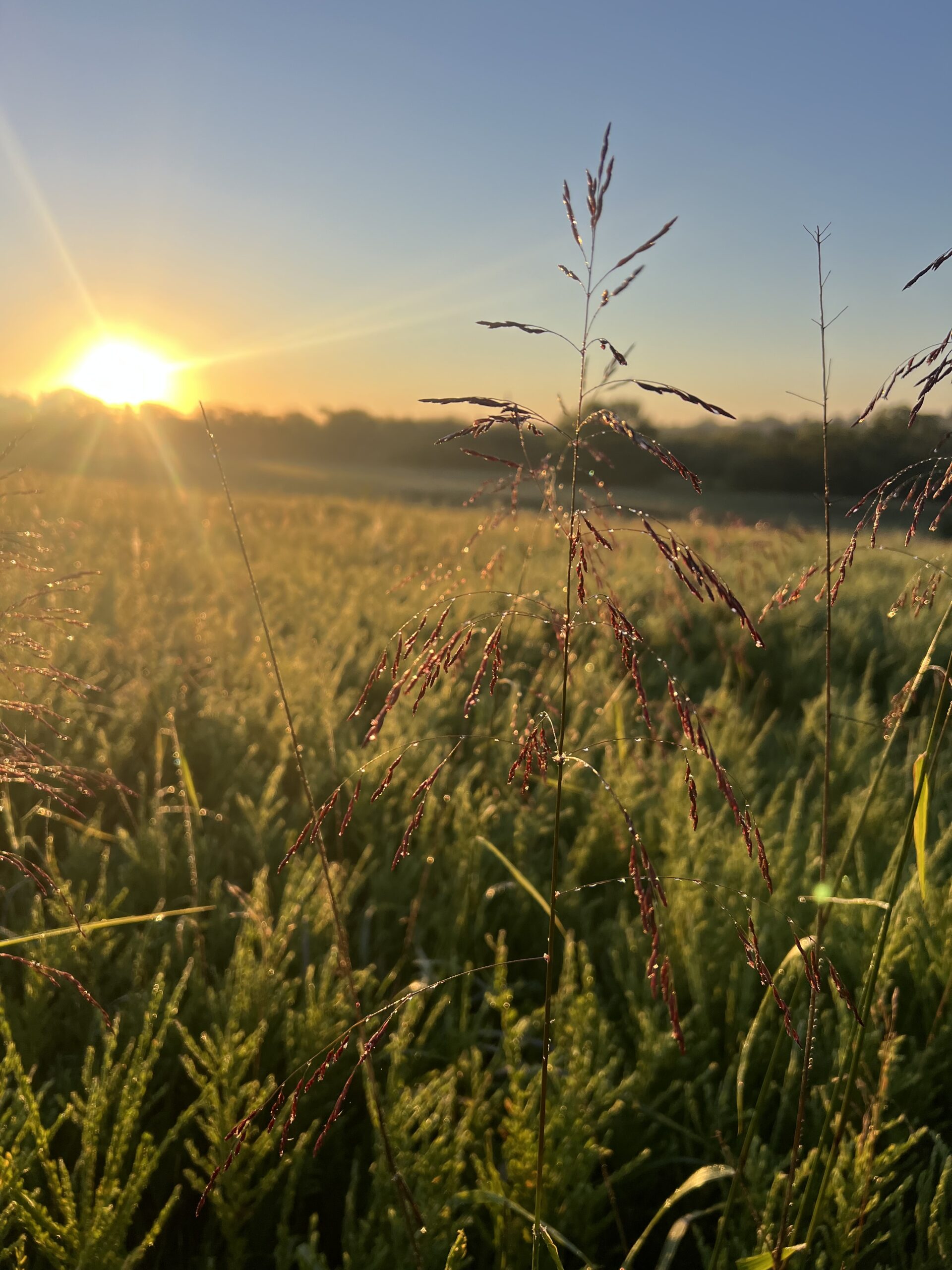 Beautiful Northern Missouri Combo Farm For Sale!