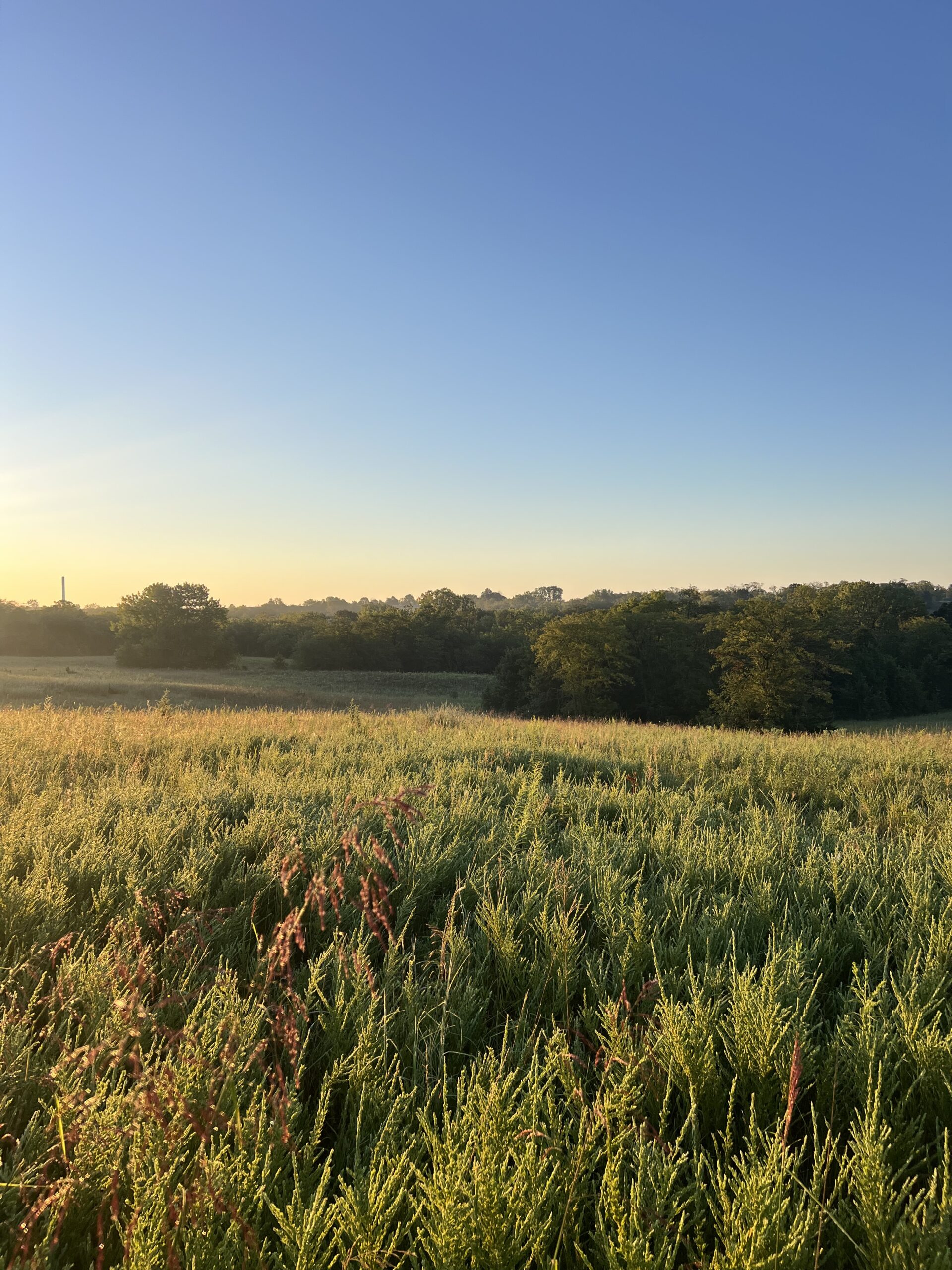 Beautiful Northern Missouri Combo Farm For Sale!