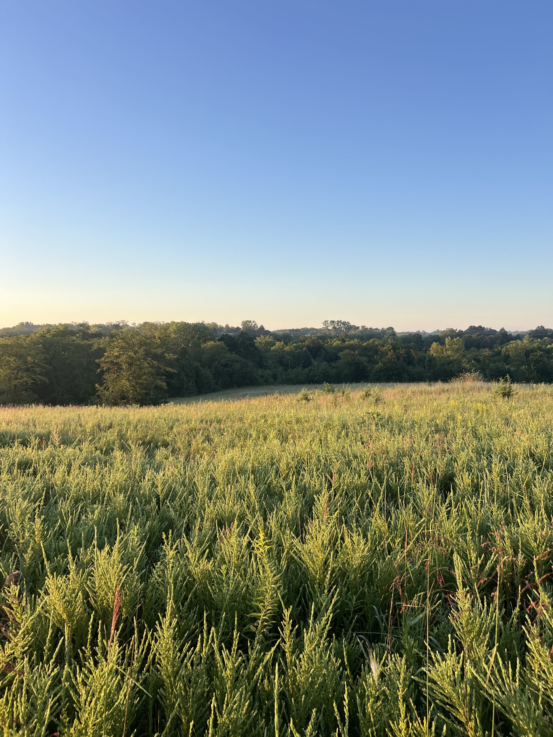 Beautiful Northern Missouri Combo Farm For Sale!