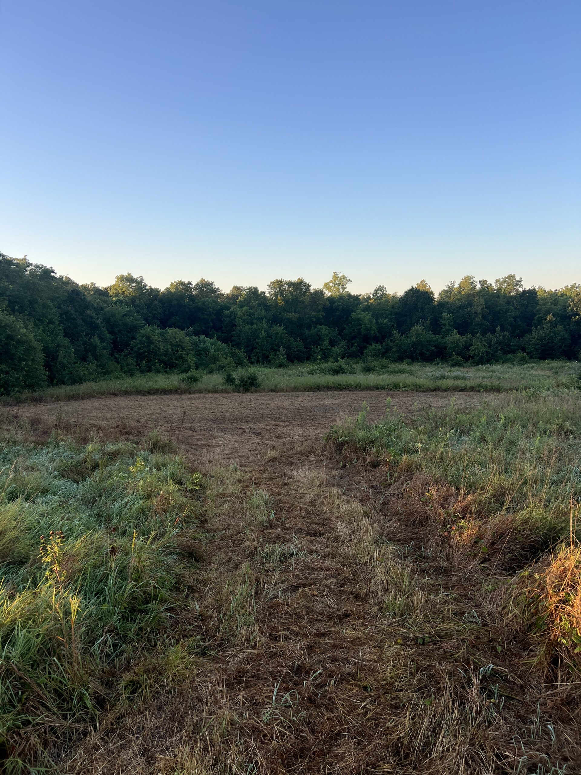 Beautiful Northern Missouri Combo Farm For Sale!