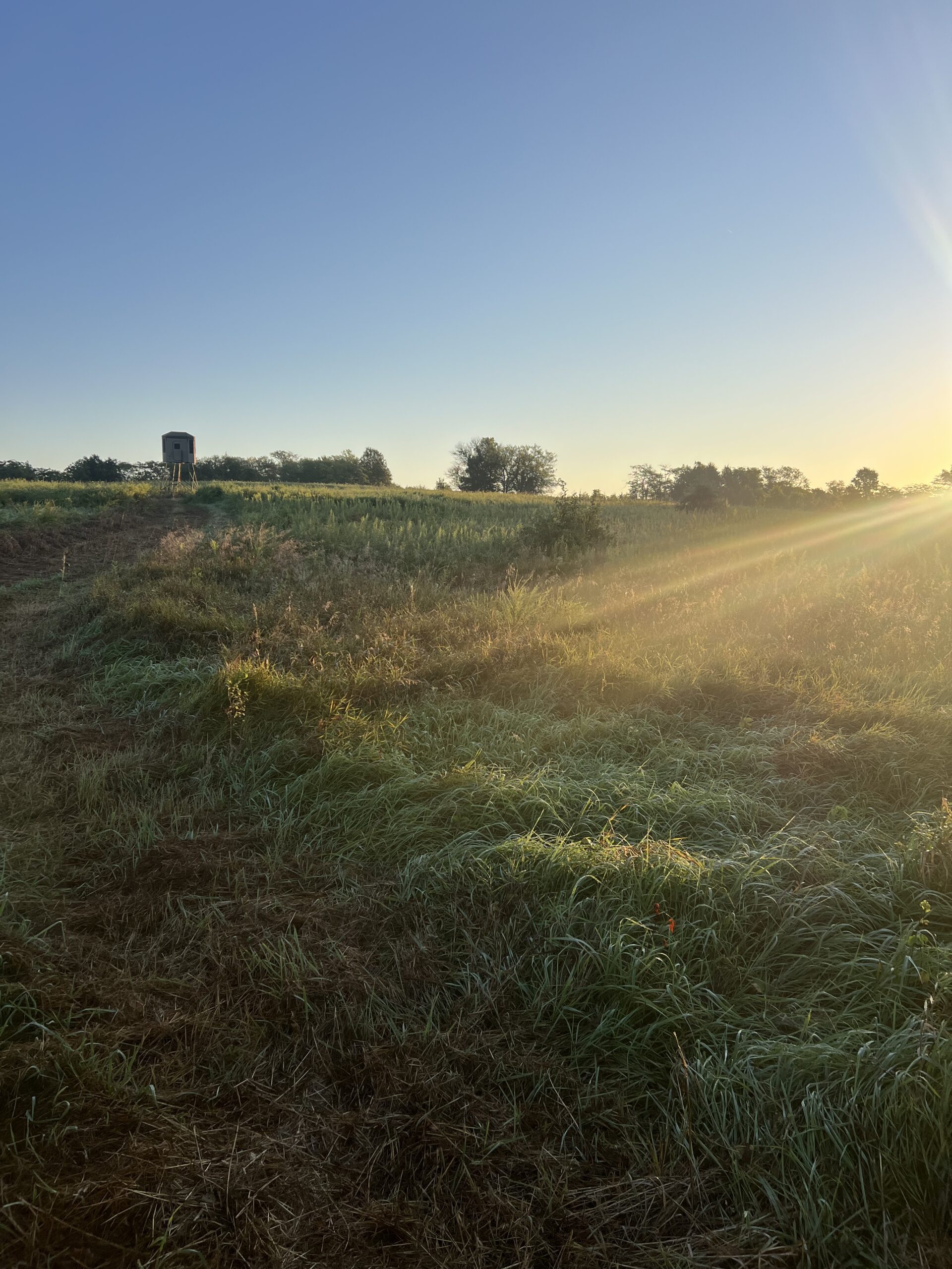 Beautiful Northern Missouri Combo Farm For Sale!