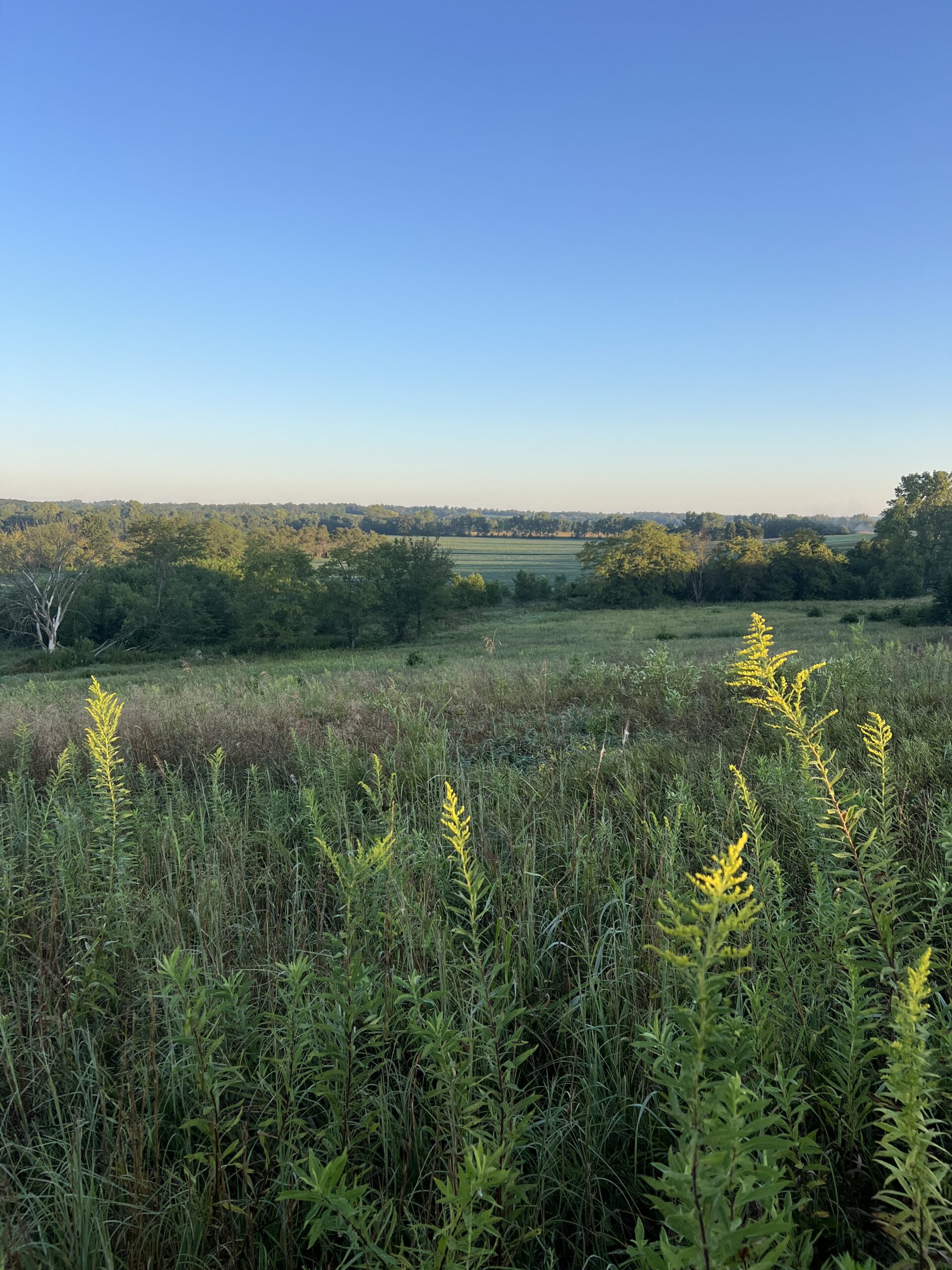 Beautiful Northern Missouri Combo Farm For Sale!