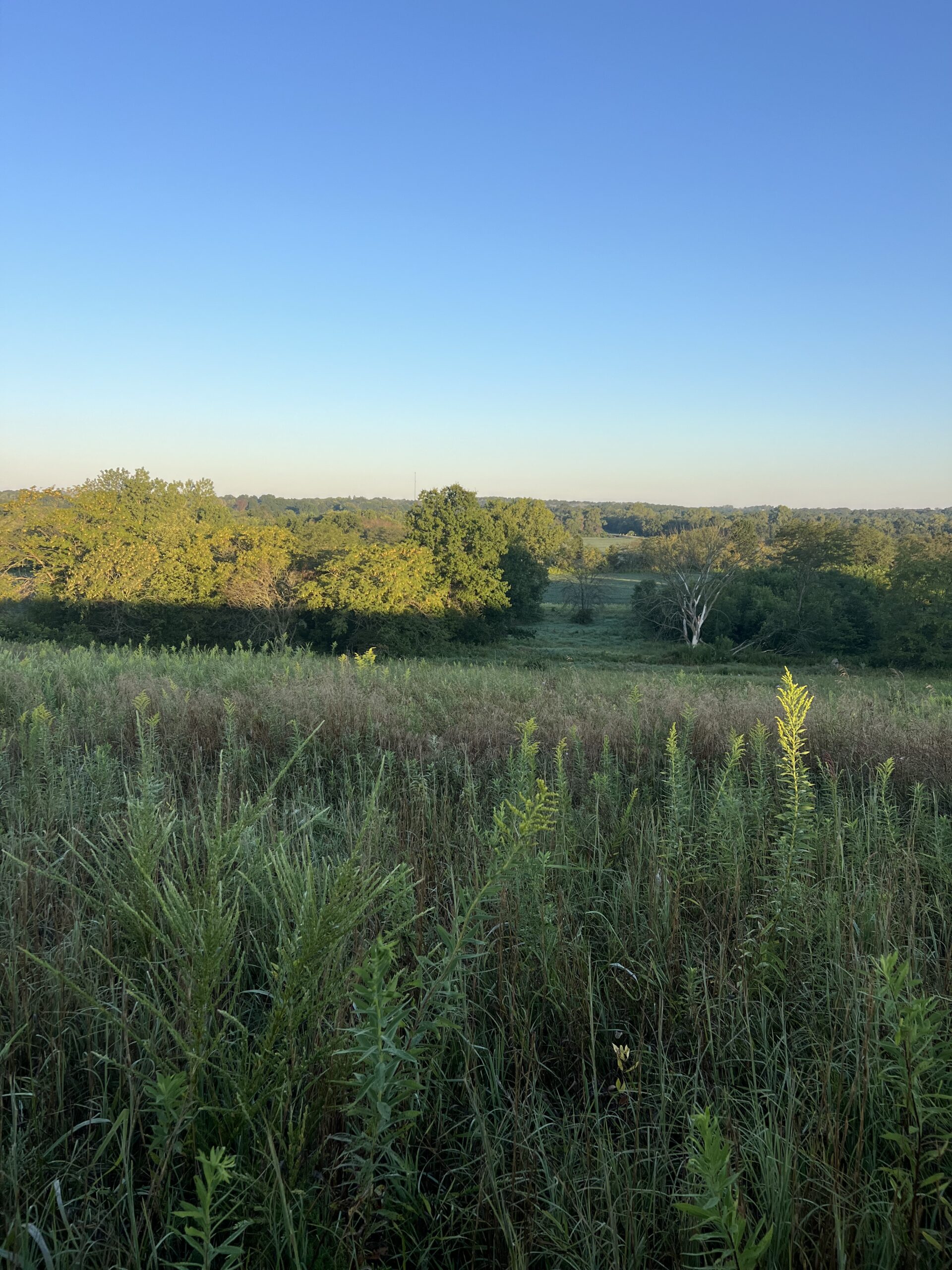 Beautiful Northern Missouri Combo Farm For Sale!
