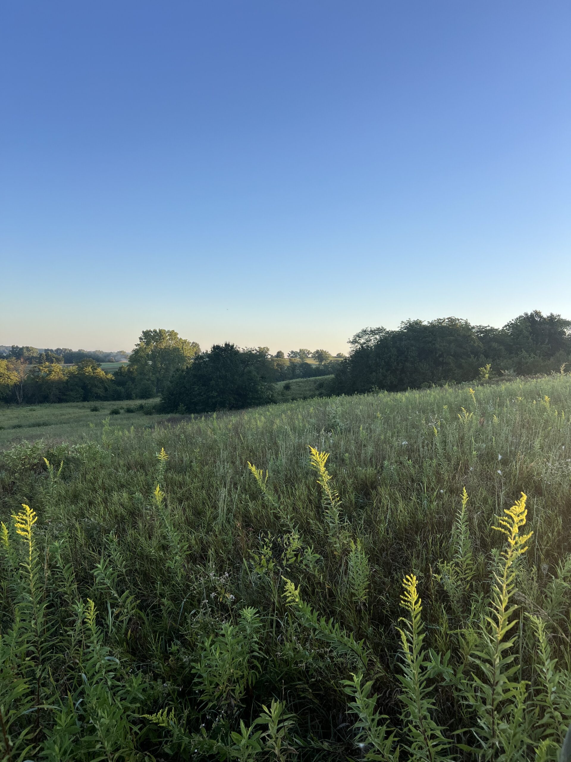 Beautiful Northern Missouri Combo Farm For Sale!