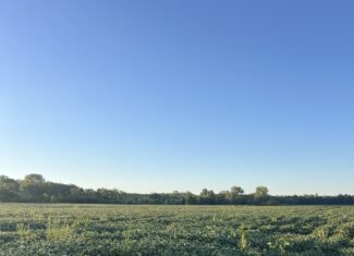 Beautiful Northern Missouri Combo Farm For Sale!