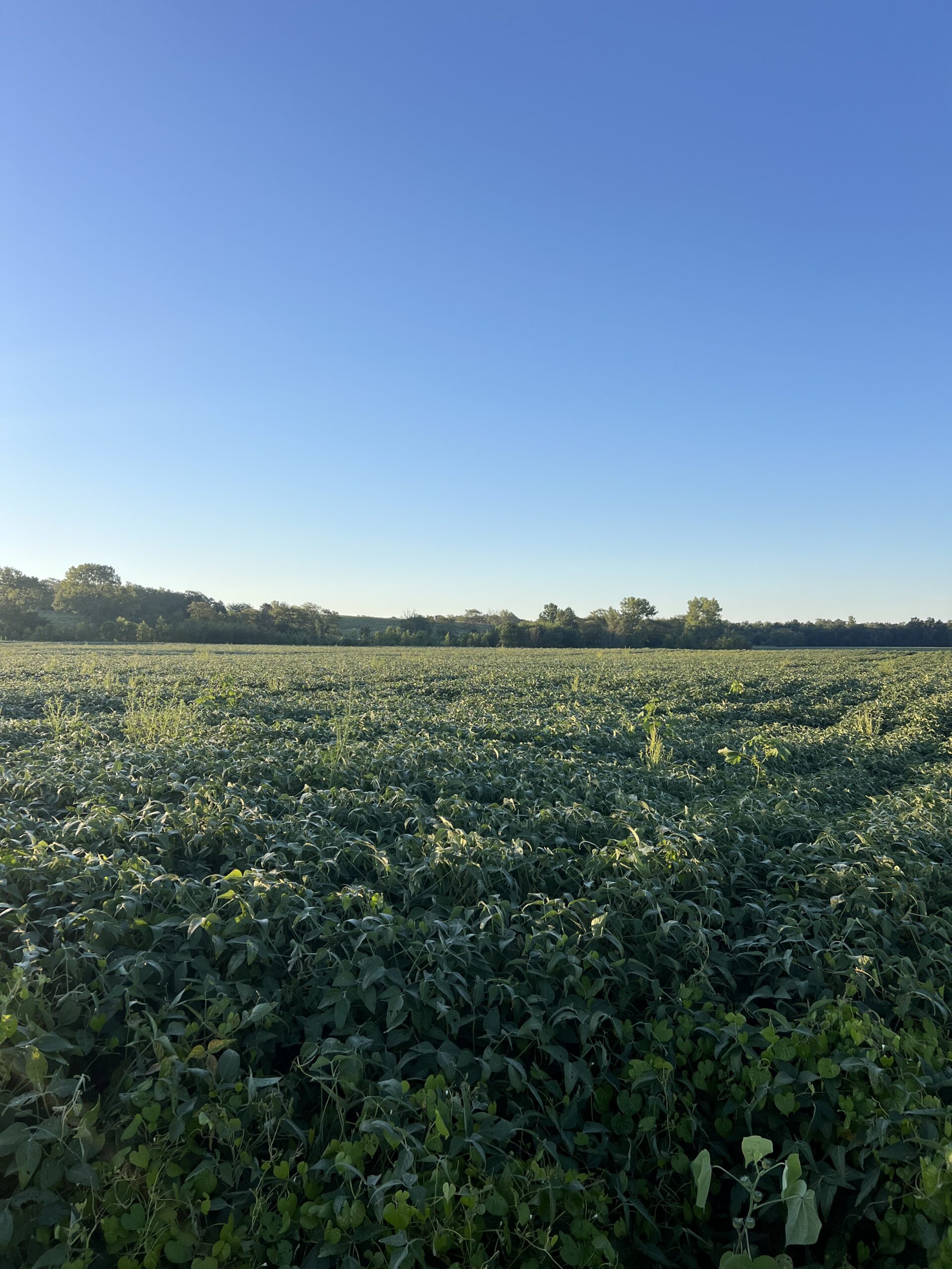 Beautiful Northern Missouri Combo Farm For Sale!