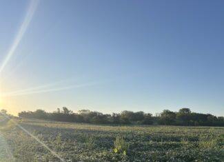 Beautiful Northern Missouri Combo Farm For Sale!