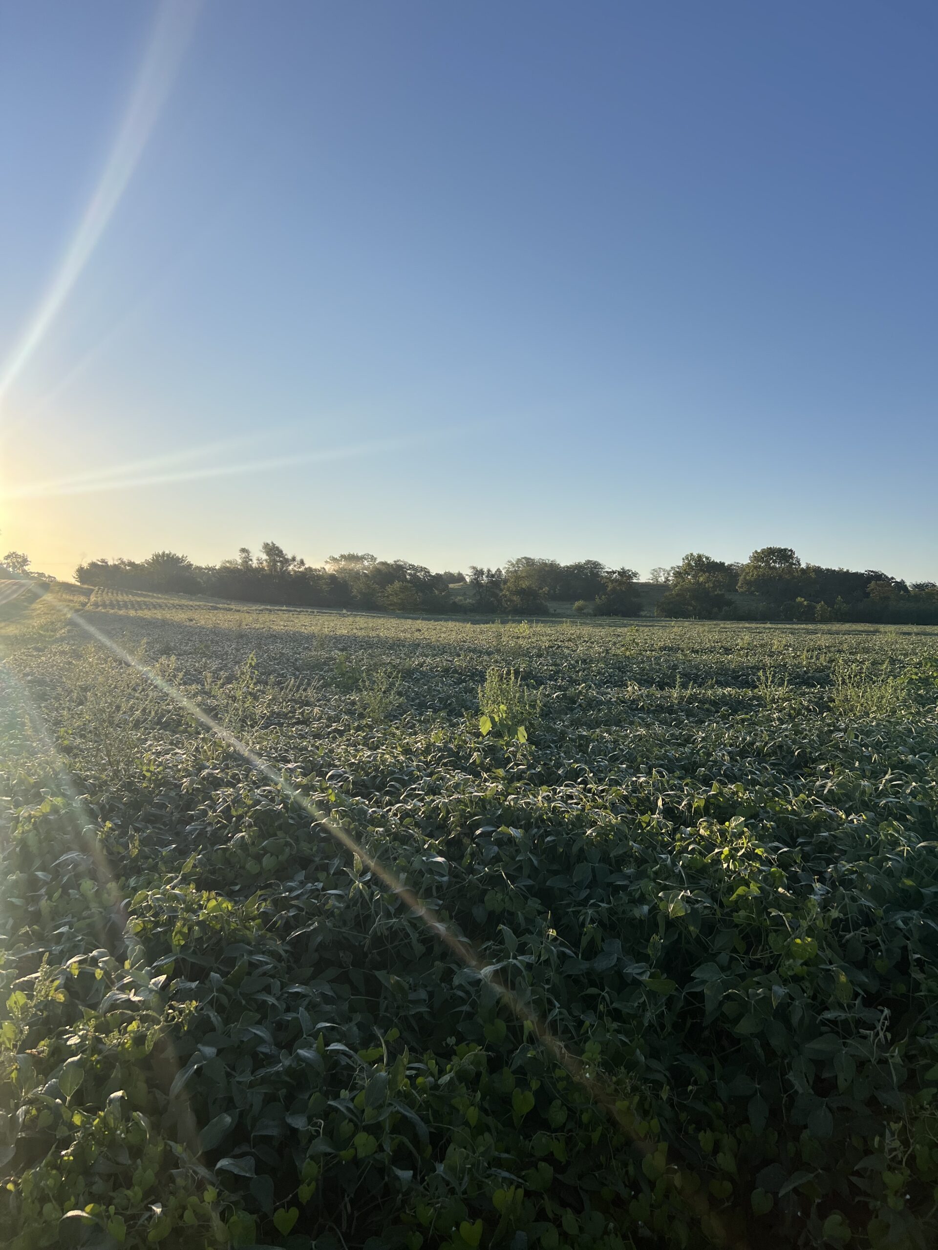Beautiful Northern Missouri Combo Farm For Sale!