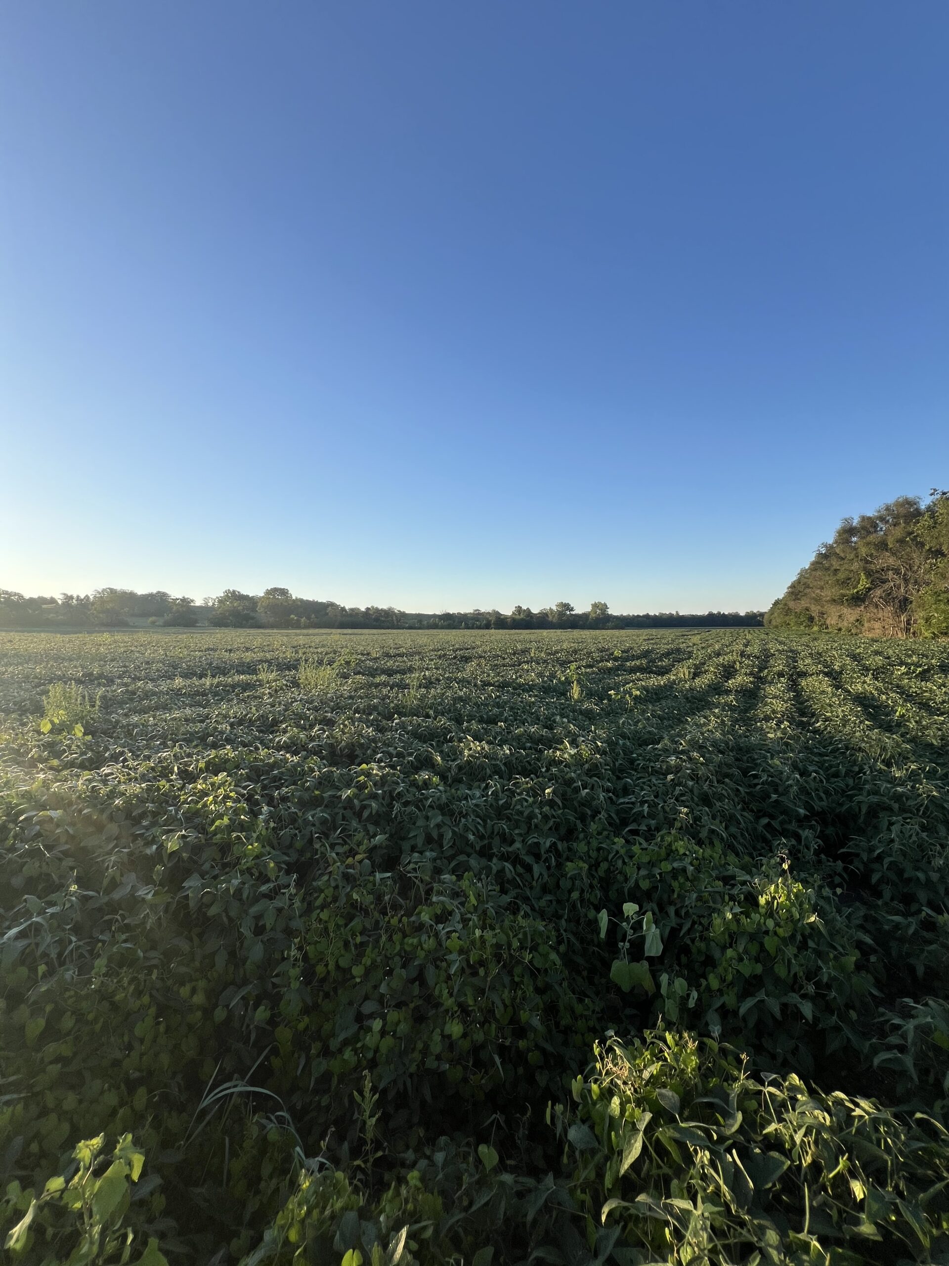 Beautiful Northern Missouri Combo Farm For Sale!